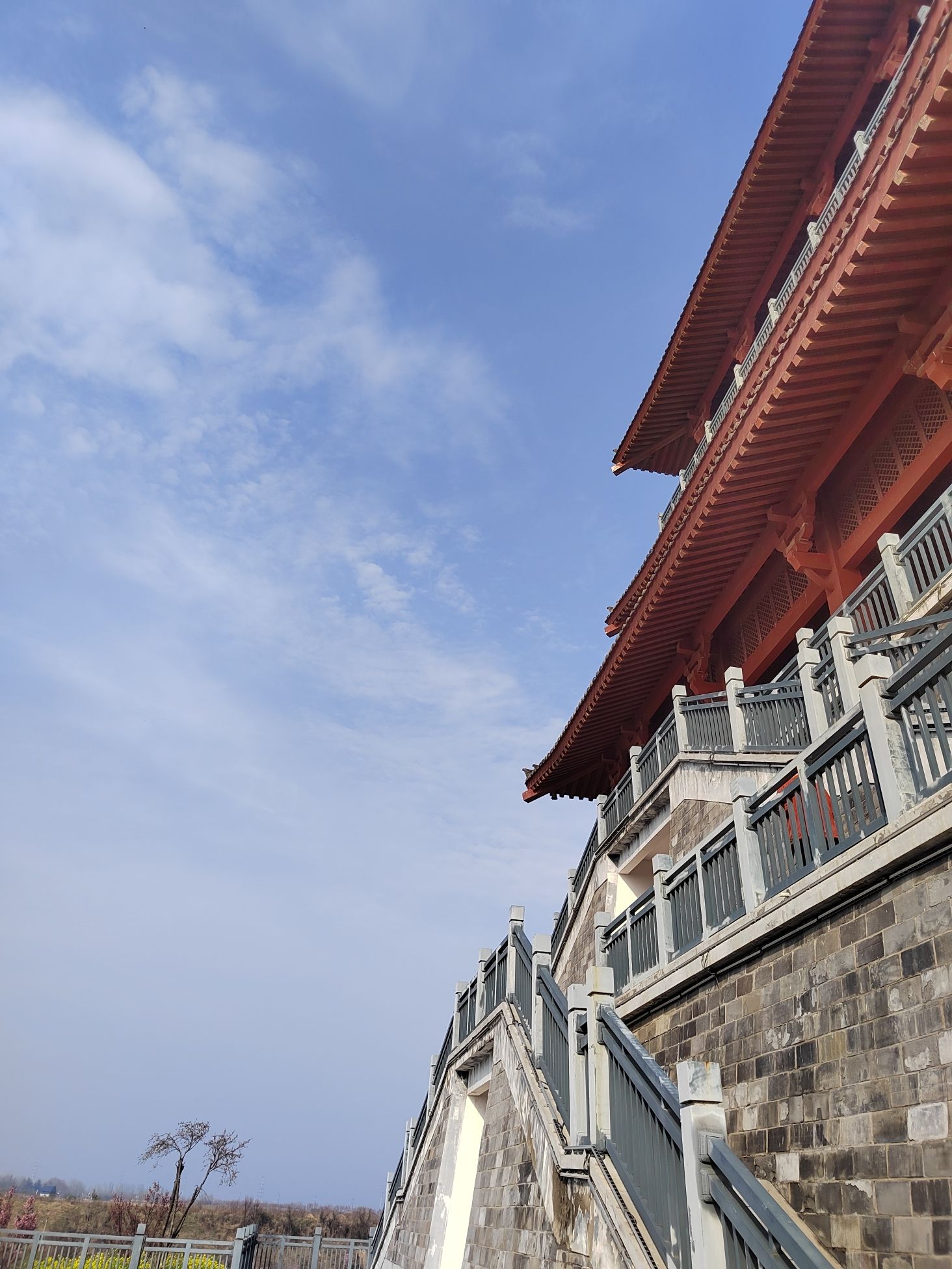丰乐樱花园旅行图片 2