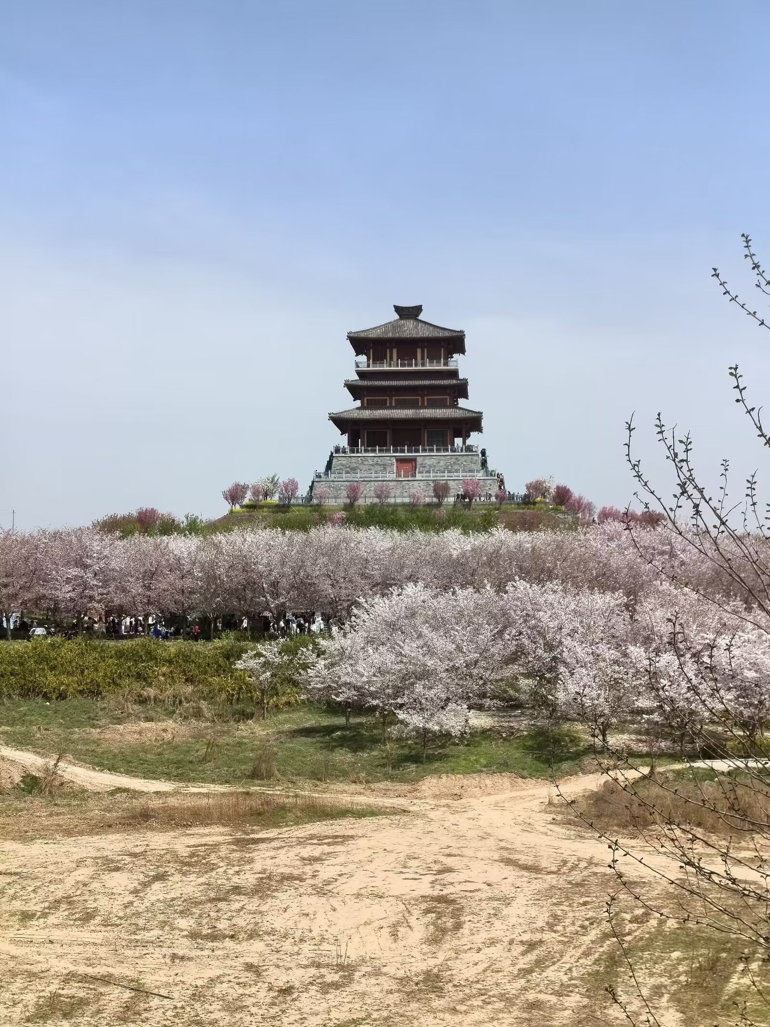丰乐樱花园旅行图片 3