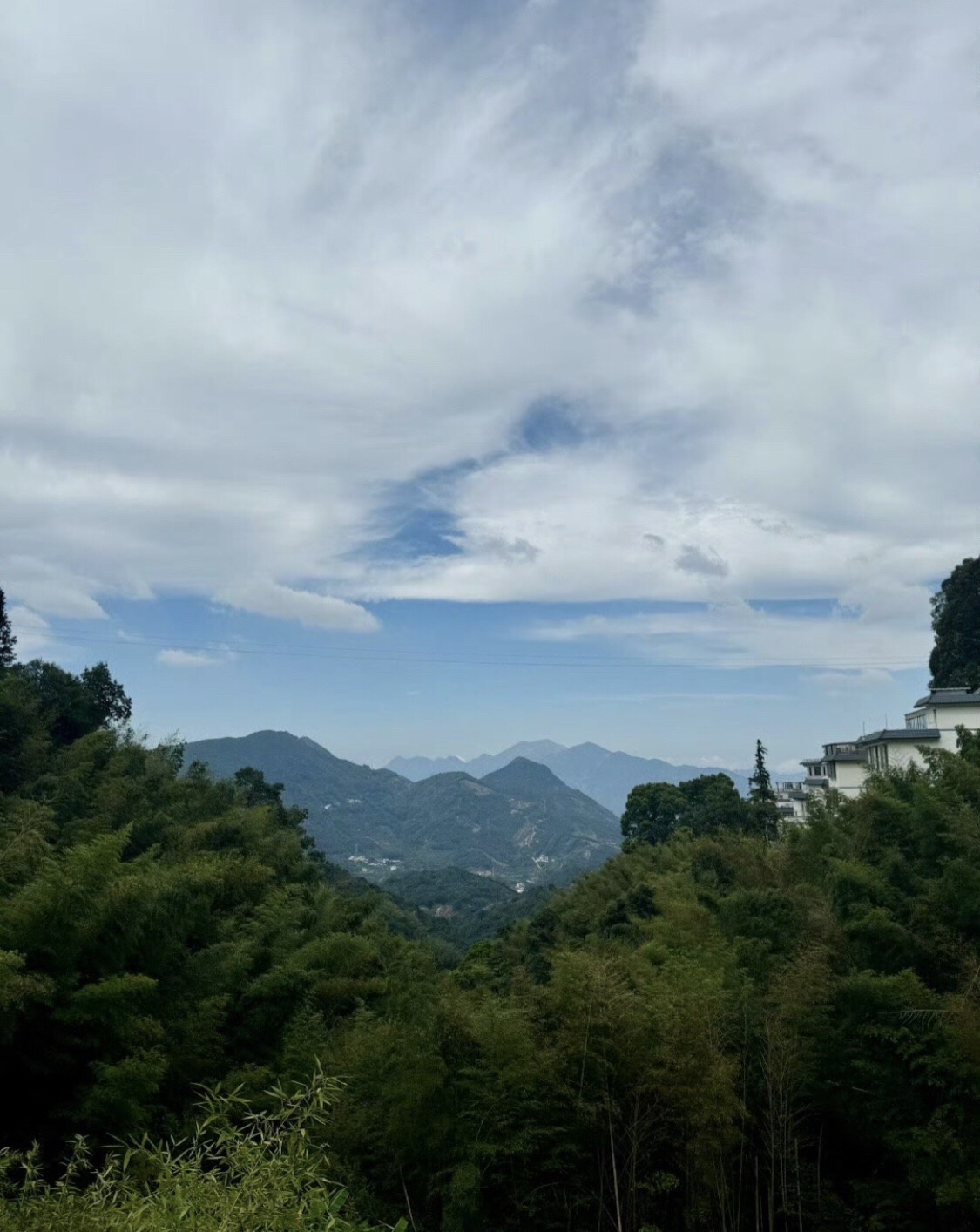 叫水坑原始森林旅行图片 1