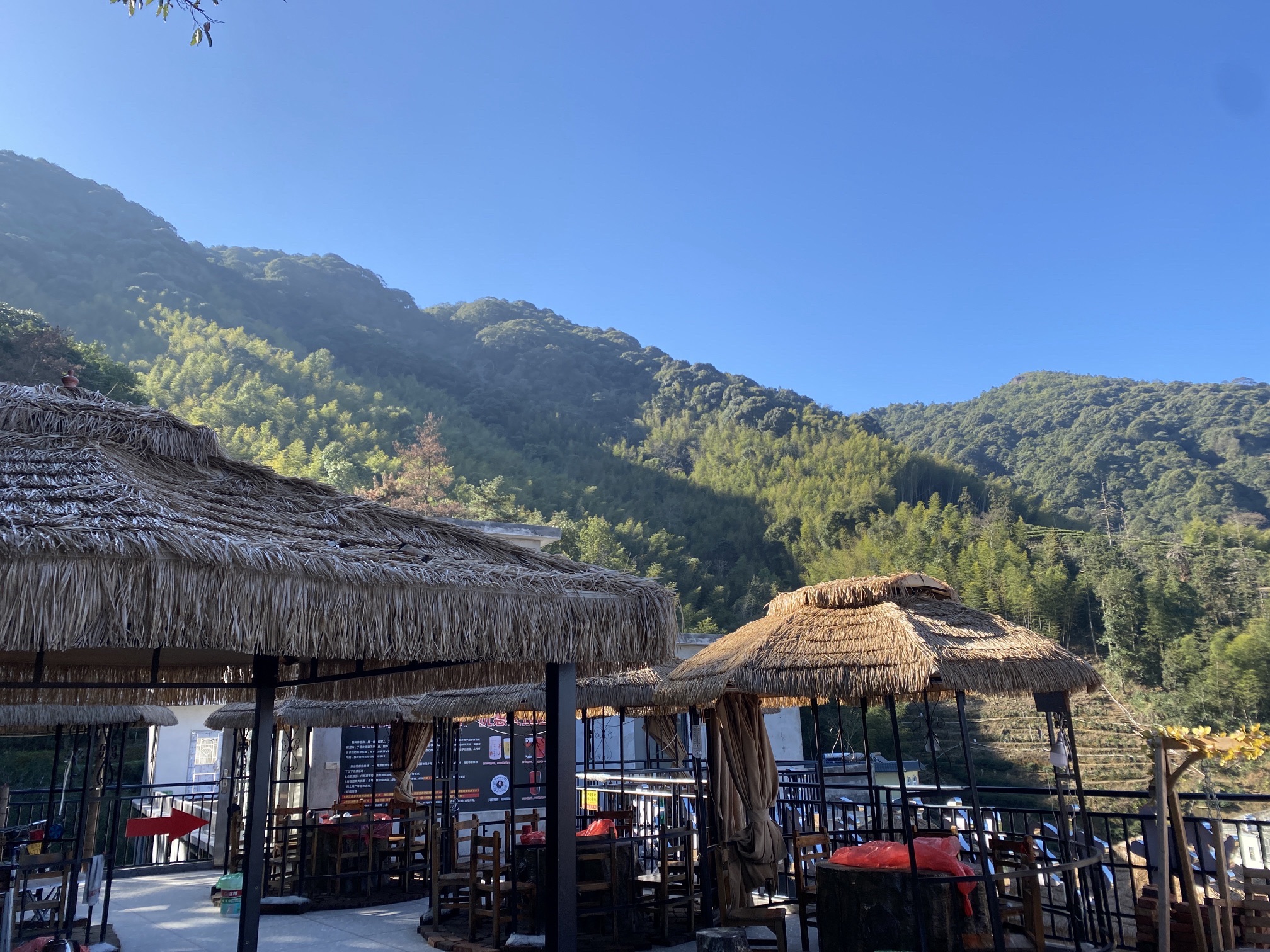 叫水坑原始森林旅行图片 3