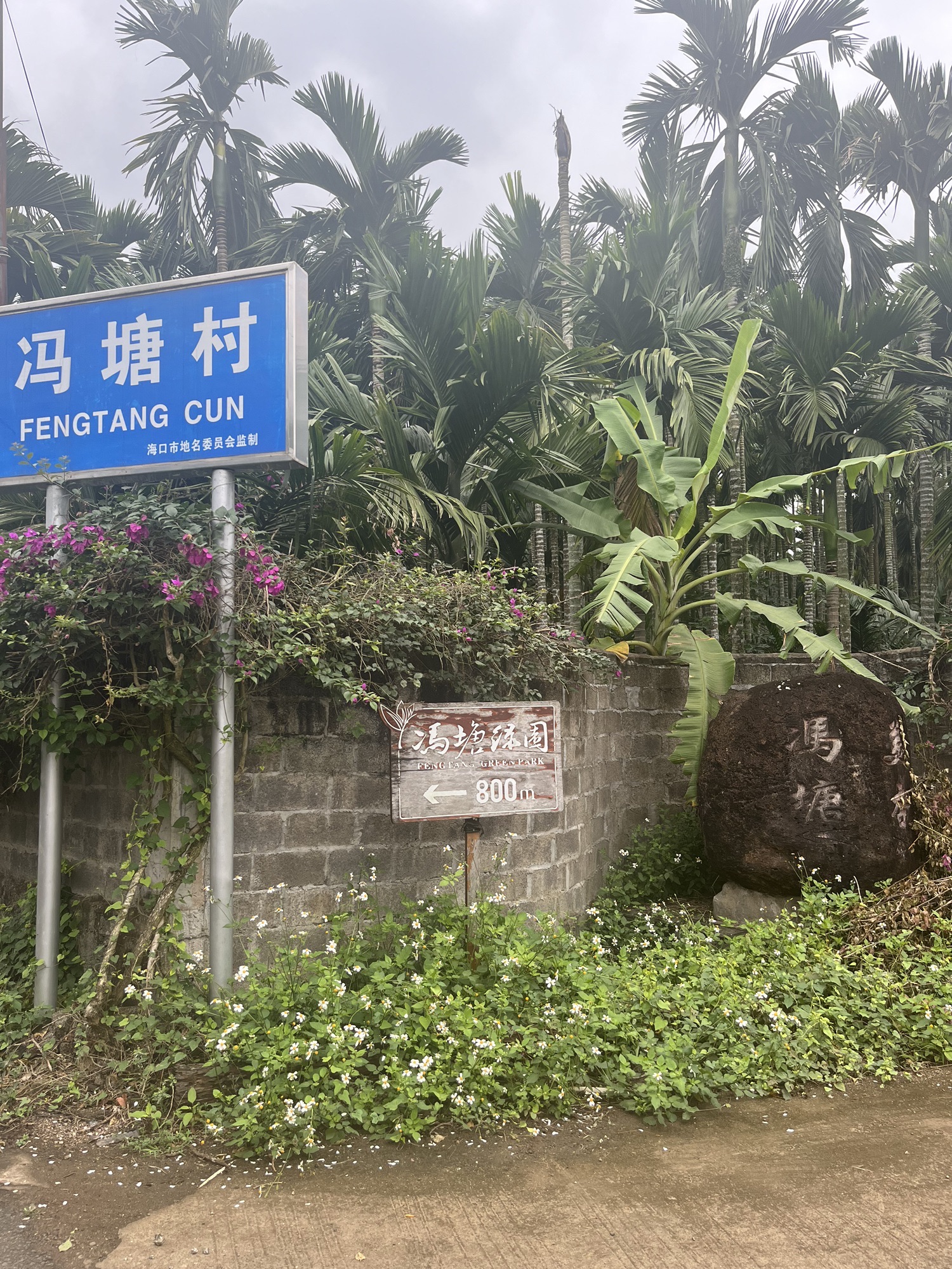 冯塘绿园旅行图片 2