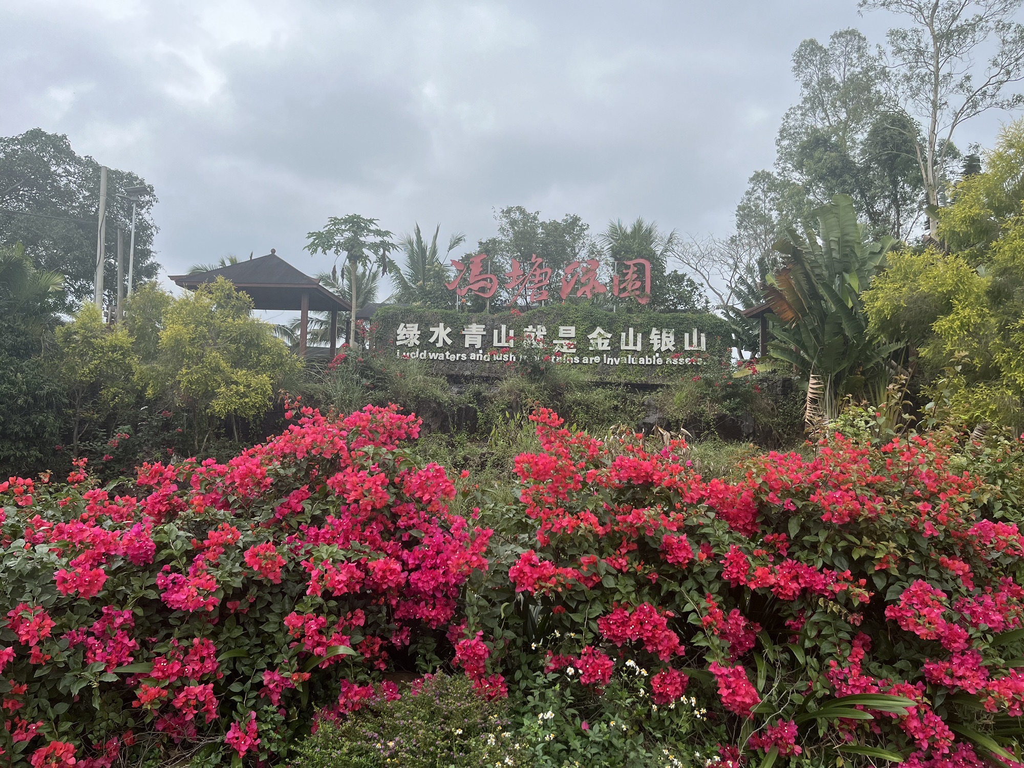 冯塘绿园旅行图片 1