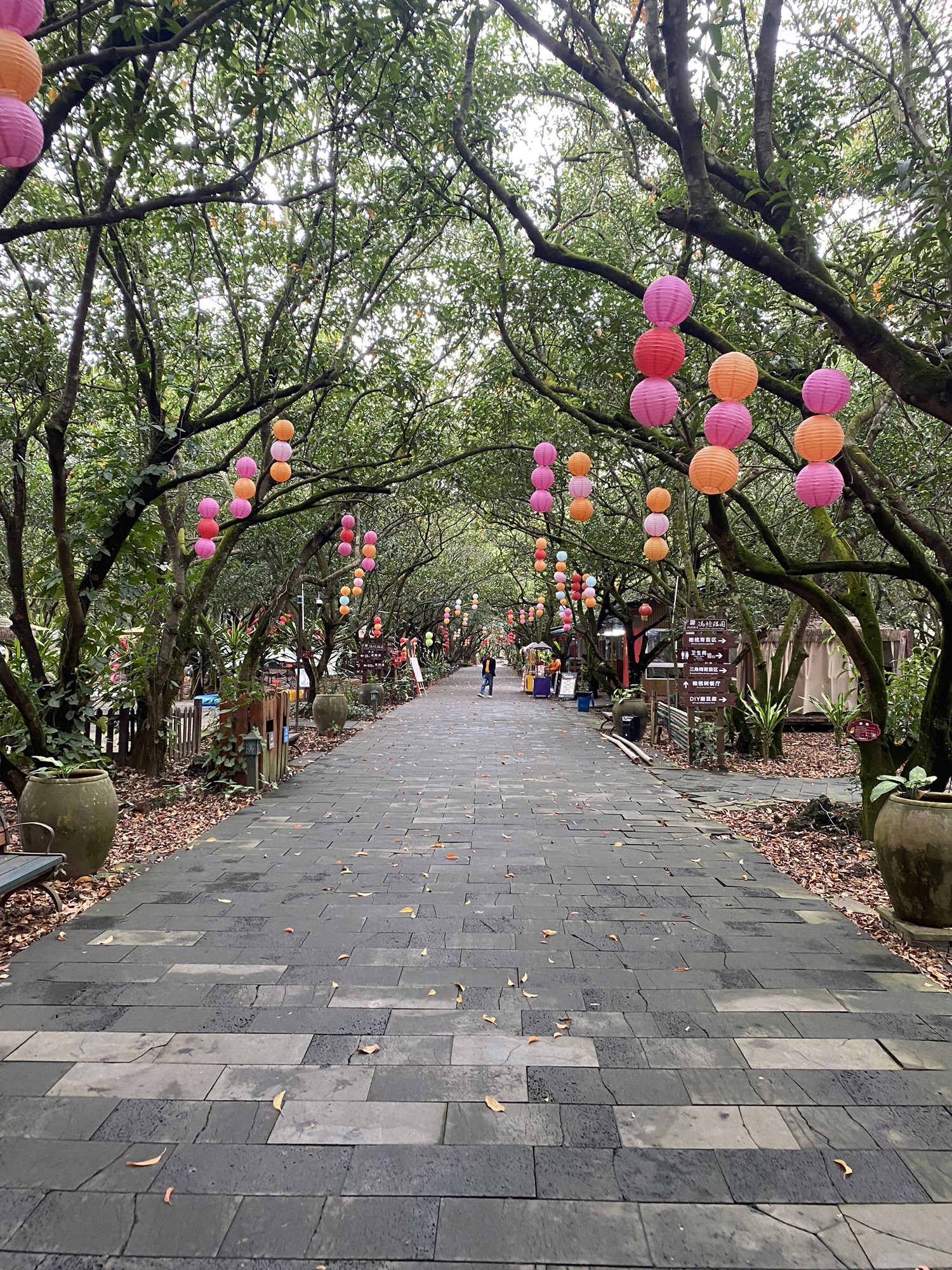 冯塘绿园旅行图片 3