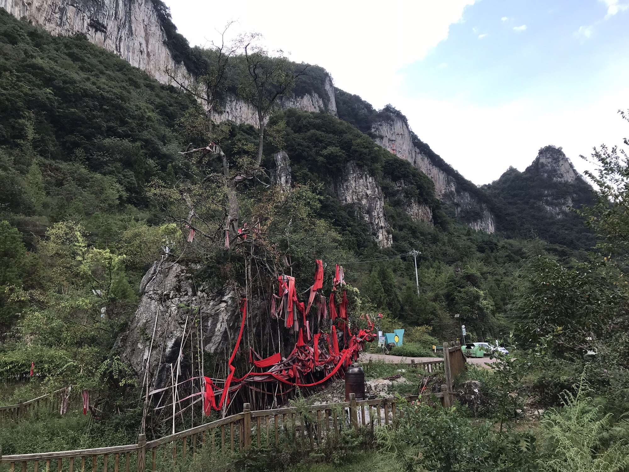 石生树旅行图片 2