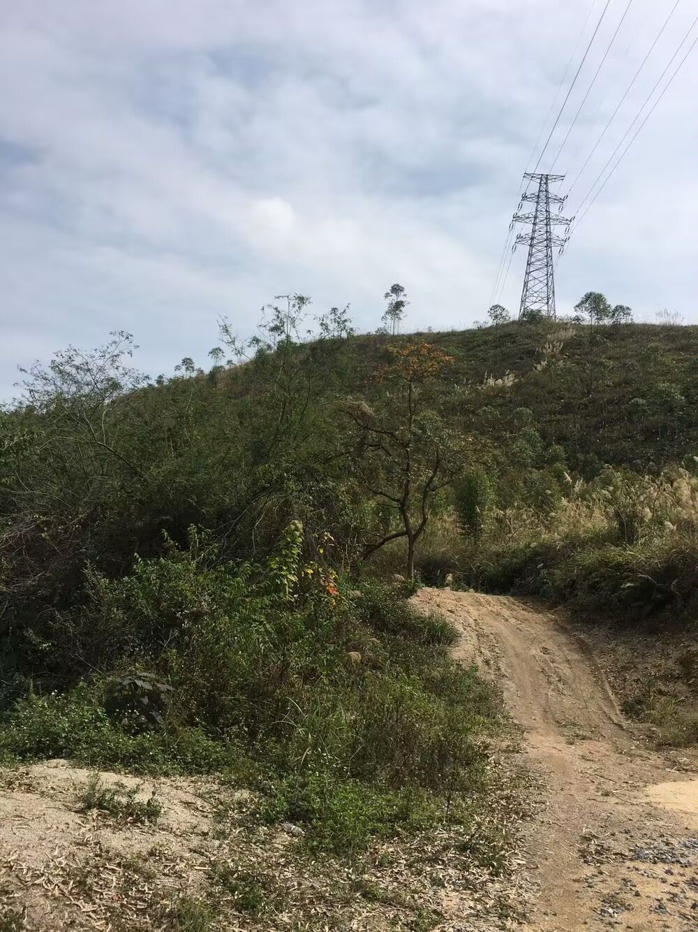 五岗岭森林公园旅行图片 2