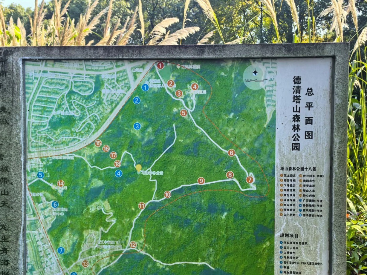 塔山森林公园