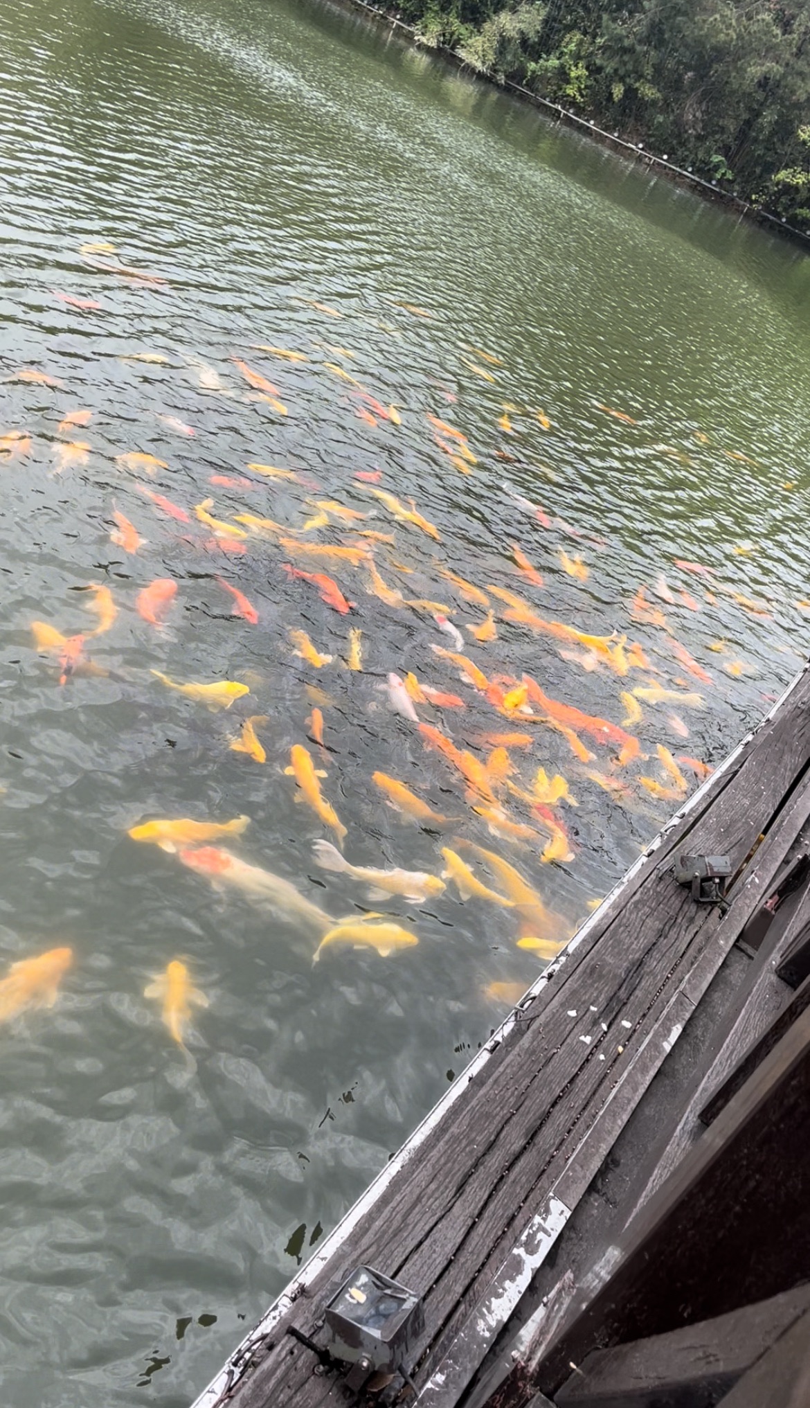 塔山森林公园旅行图片 1