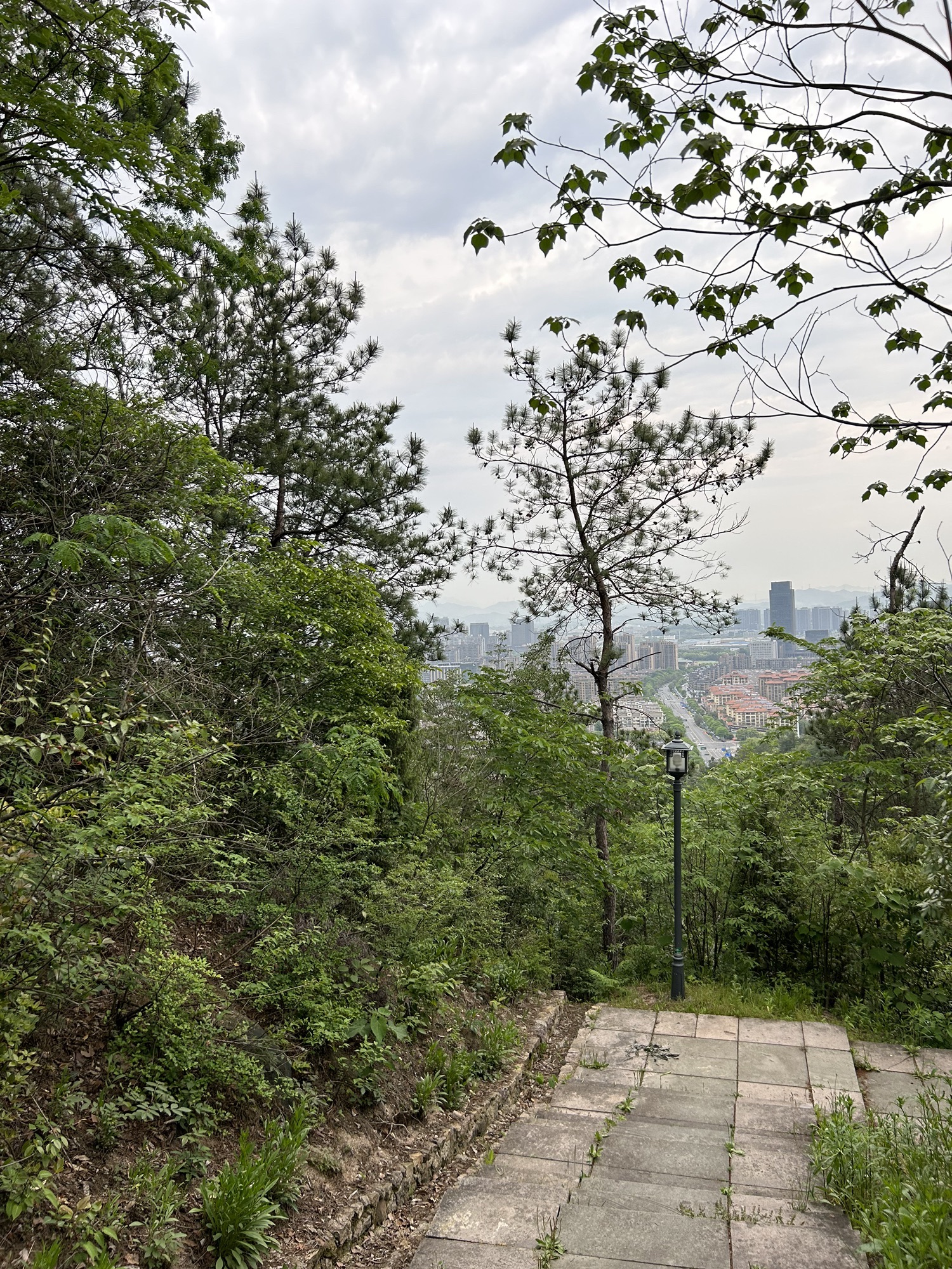 塔山森林公园旅行图片 3