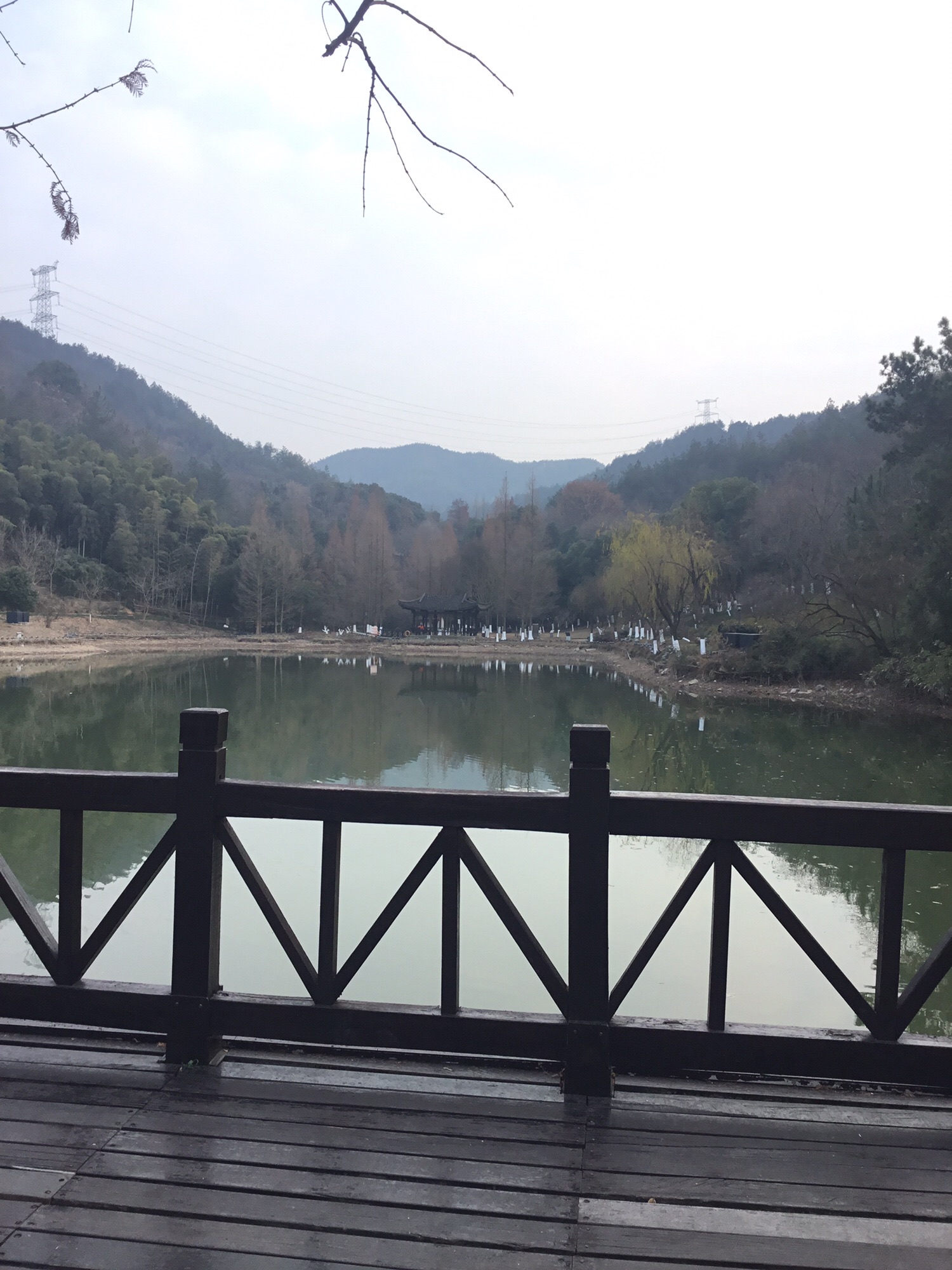 塔山森林公园旅行图片 3