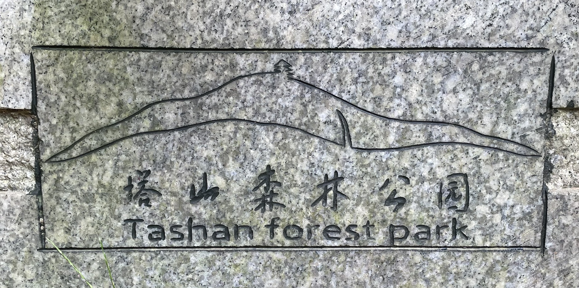 塔山森林公园