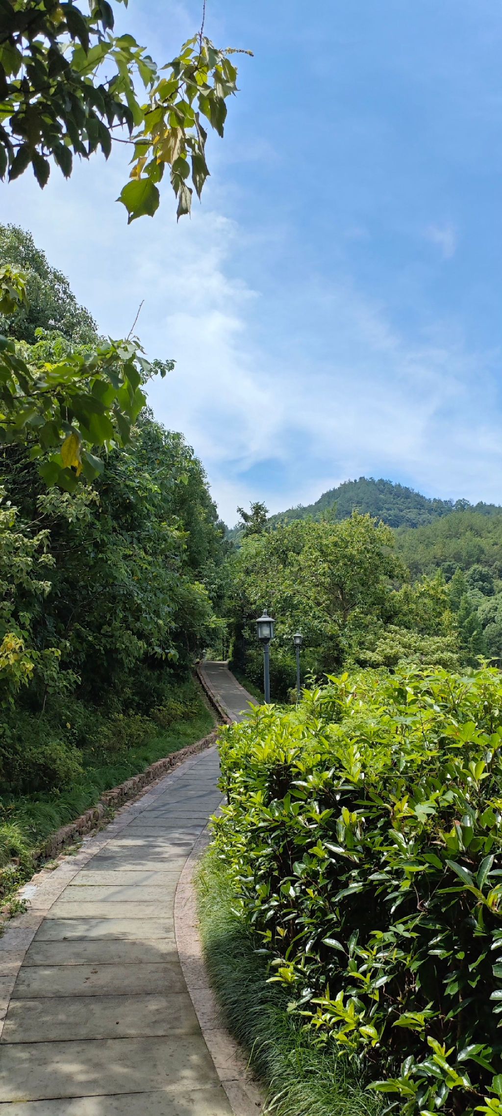 塔山森林公园旅行图片 3