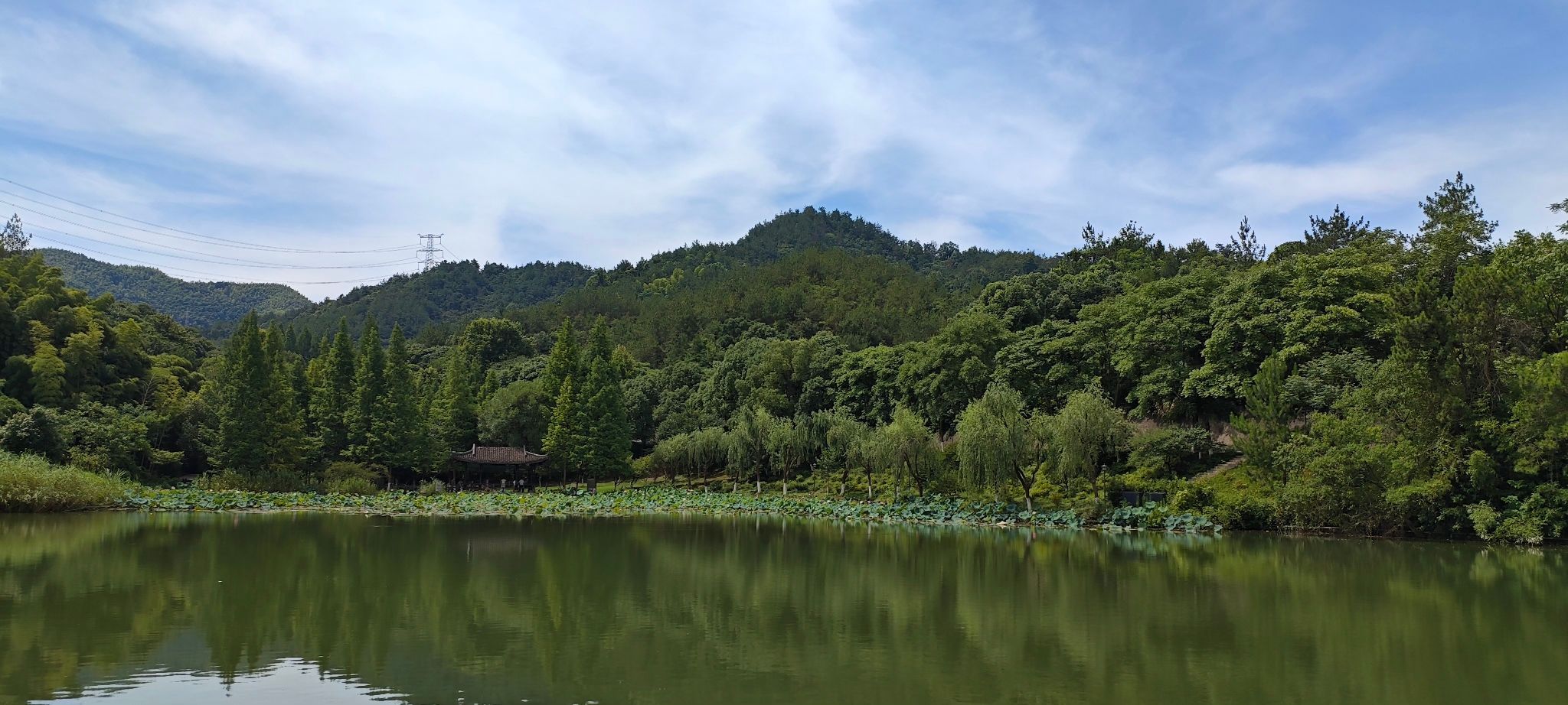 塔山森林公园旅行图片 2