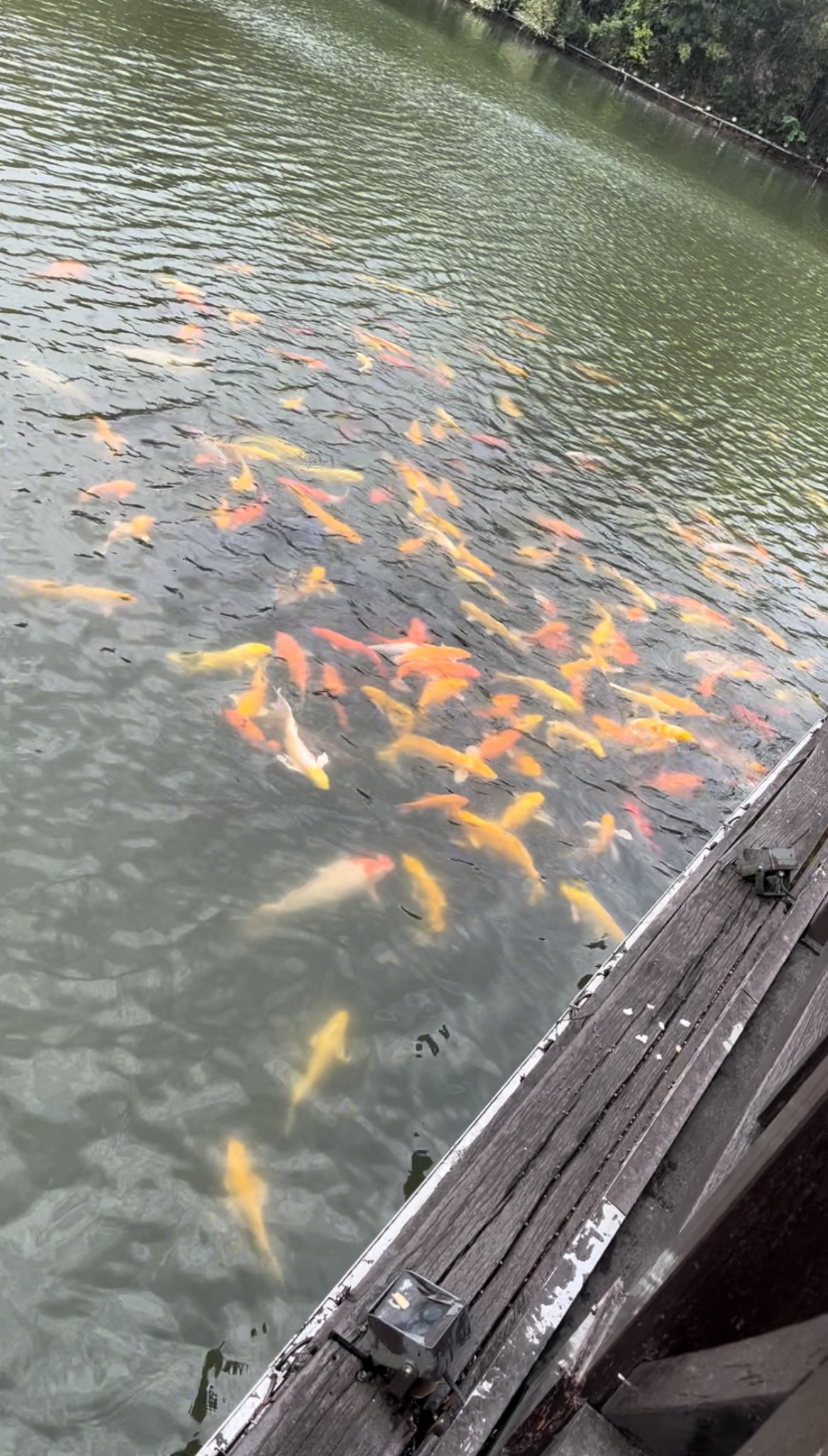 塔山森林公园旅行图片 3