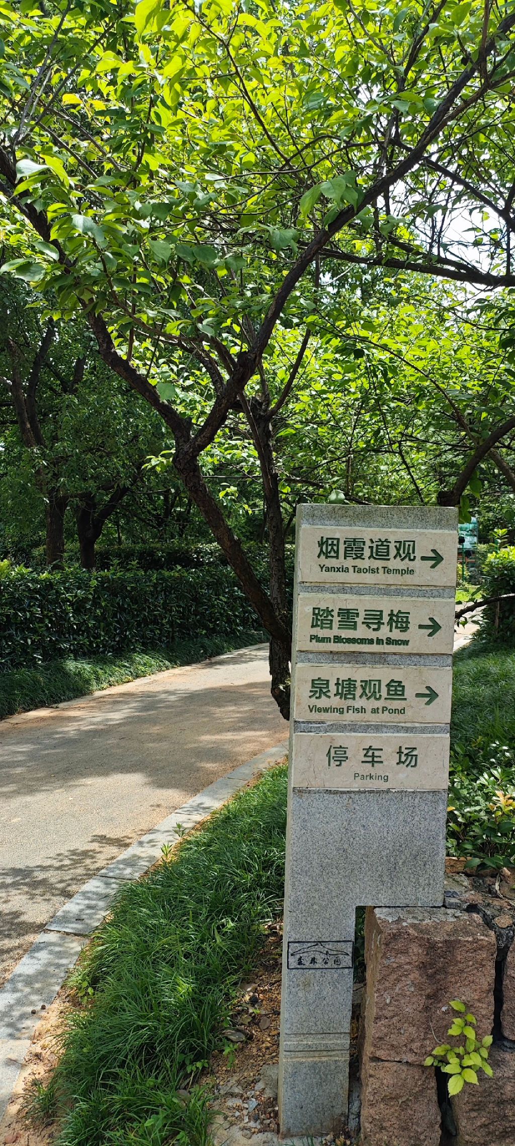 塔山森林公园旅行图片 1