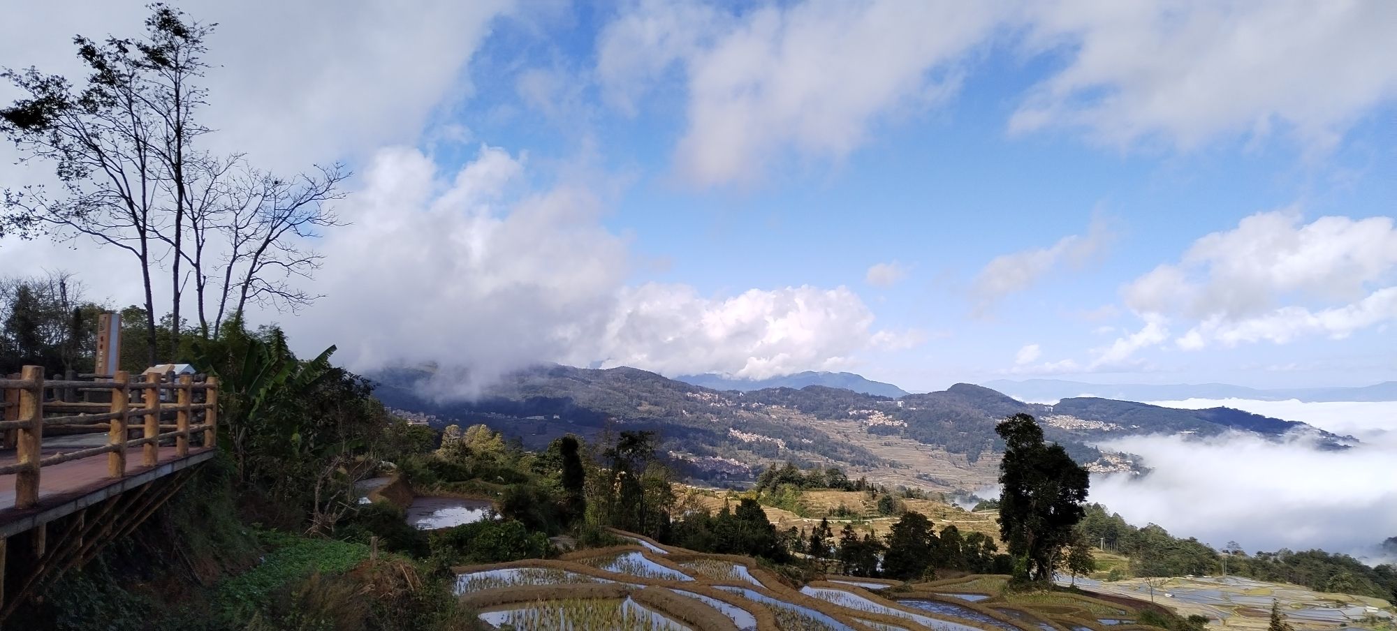 箐口梯田景区-倮马点梯田