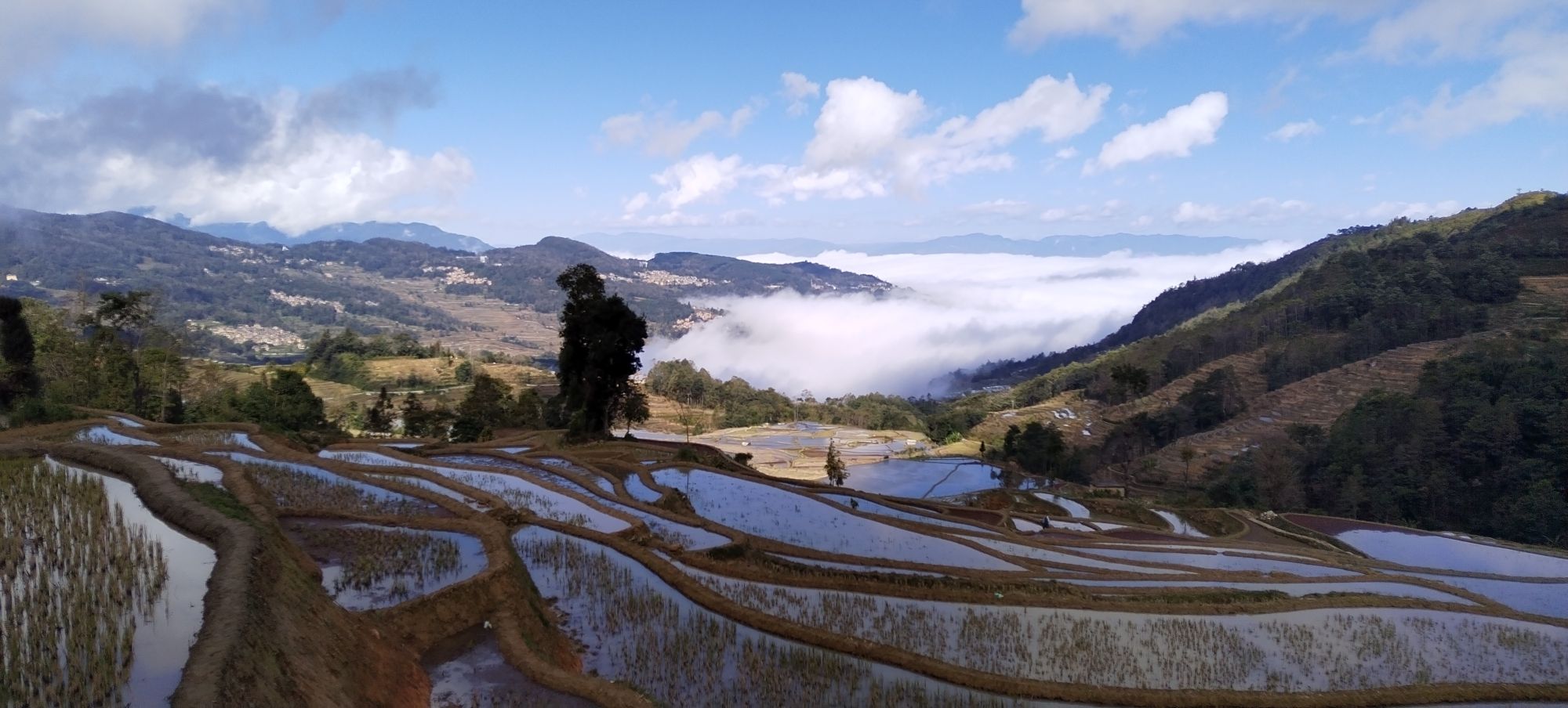 箐口梯田景区-倮马点梯田