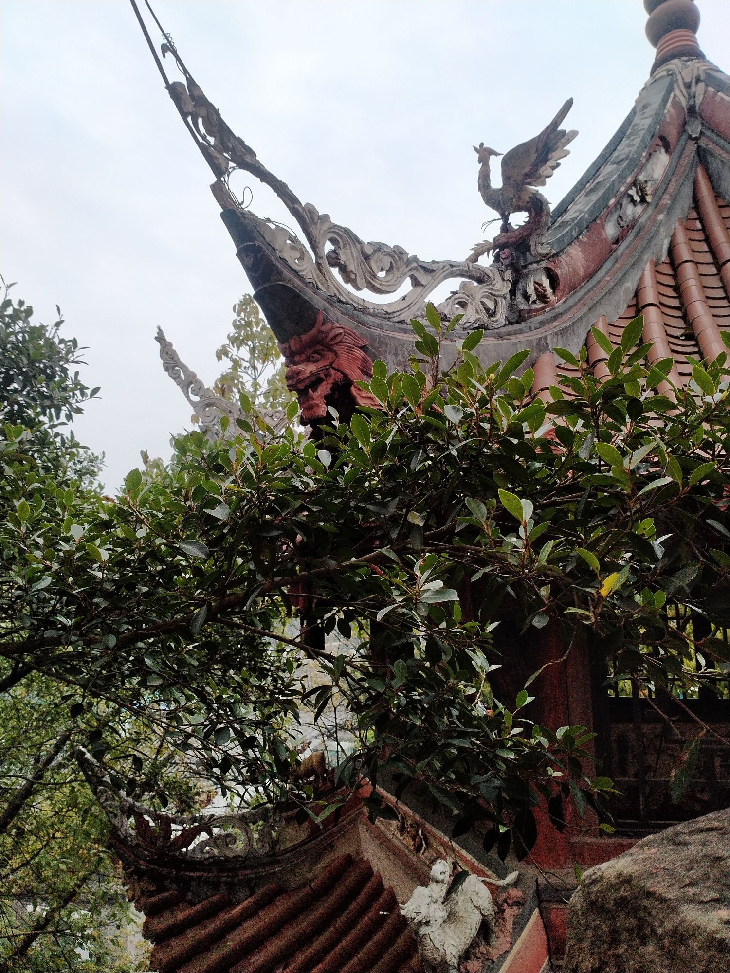 神龙山巴人石头城旅行图片 3