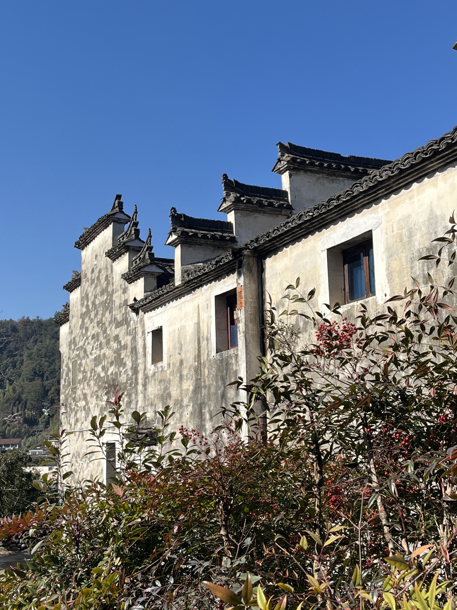 千柱屋旅行图片 1