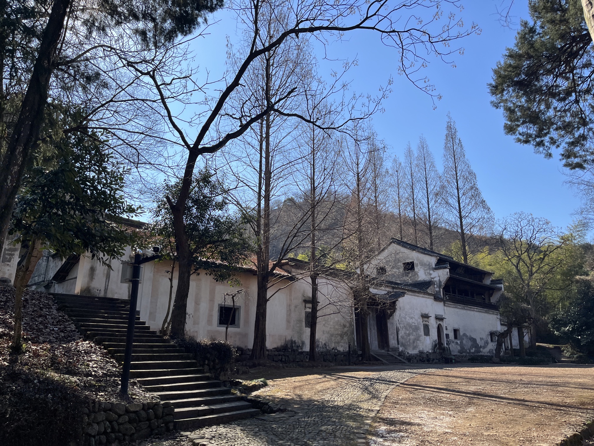 千柱屋旅行图片 3