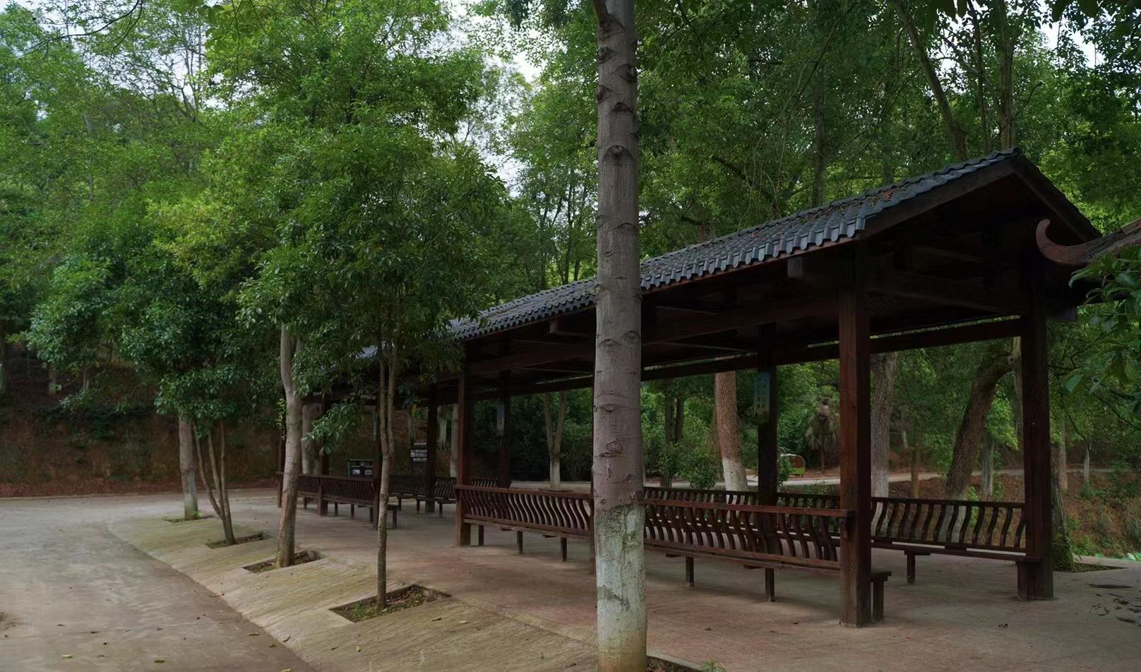 邵阳市宝庆森林公园旅行图片 1