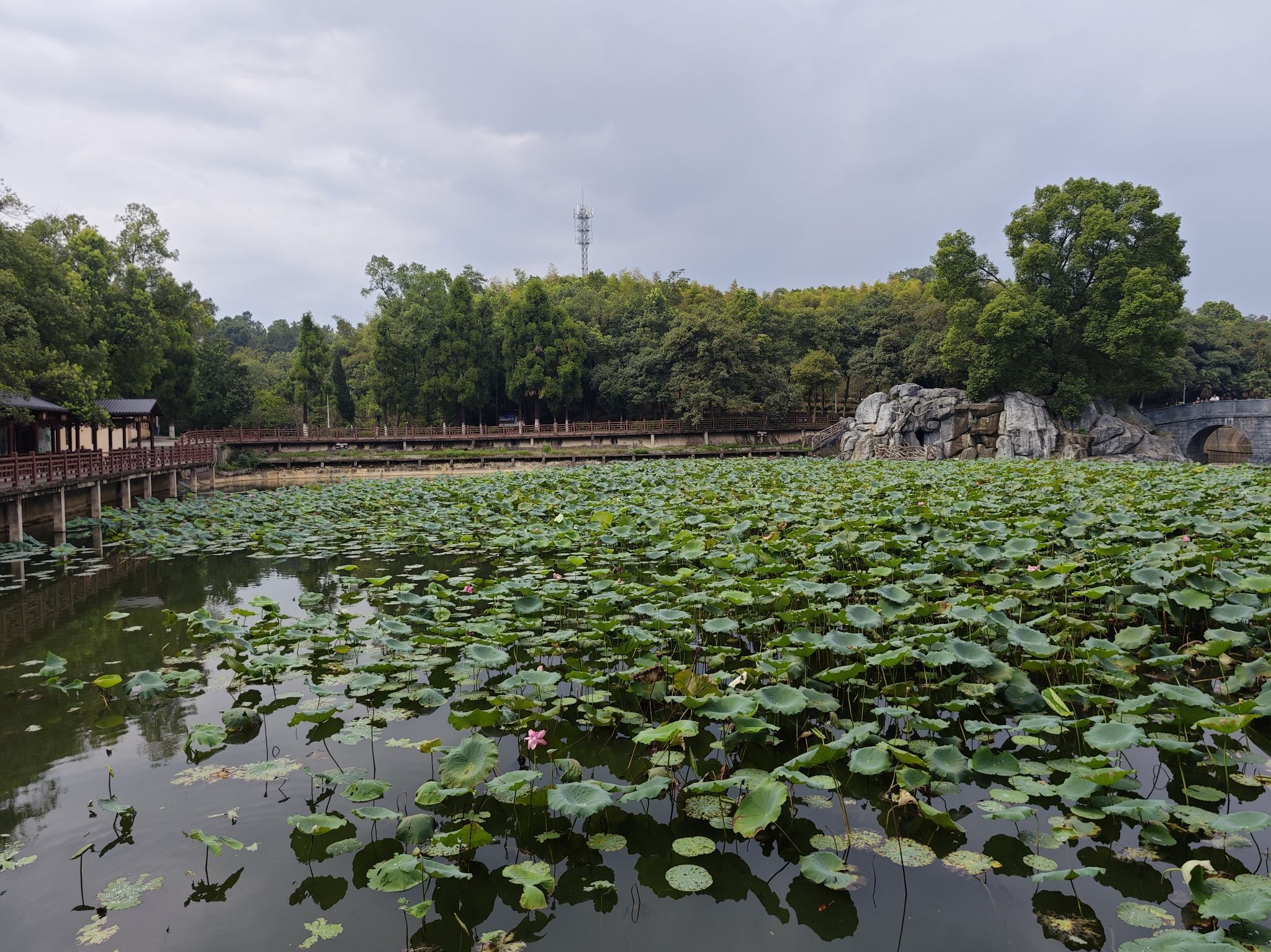 邵阳市宝庆森林公园旅行图片 3