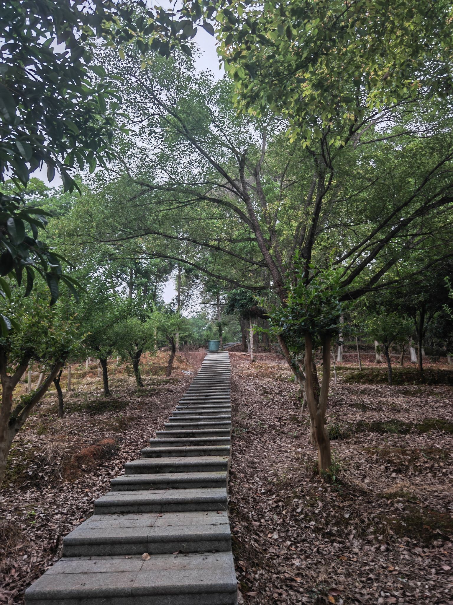 邵阳市宝庆森林公园旅行图片 1