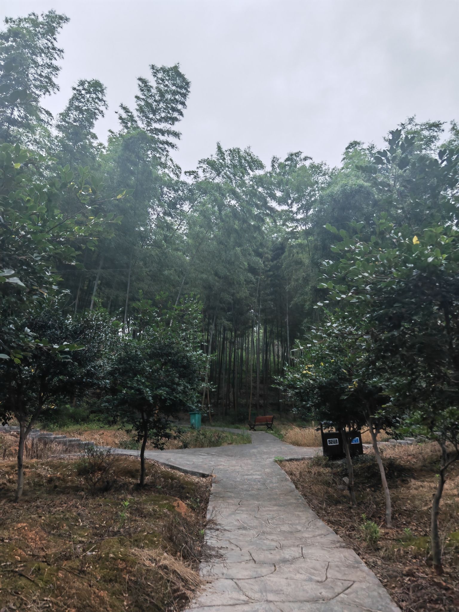 邵阳市宝庆森林公园旅行图片 3