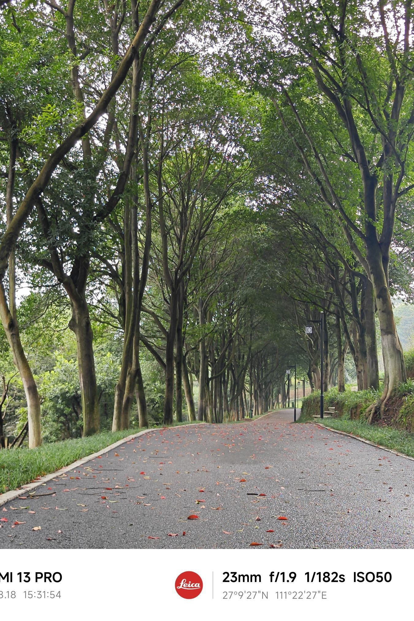 邵阳市宝庆森林公园