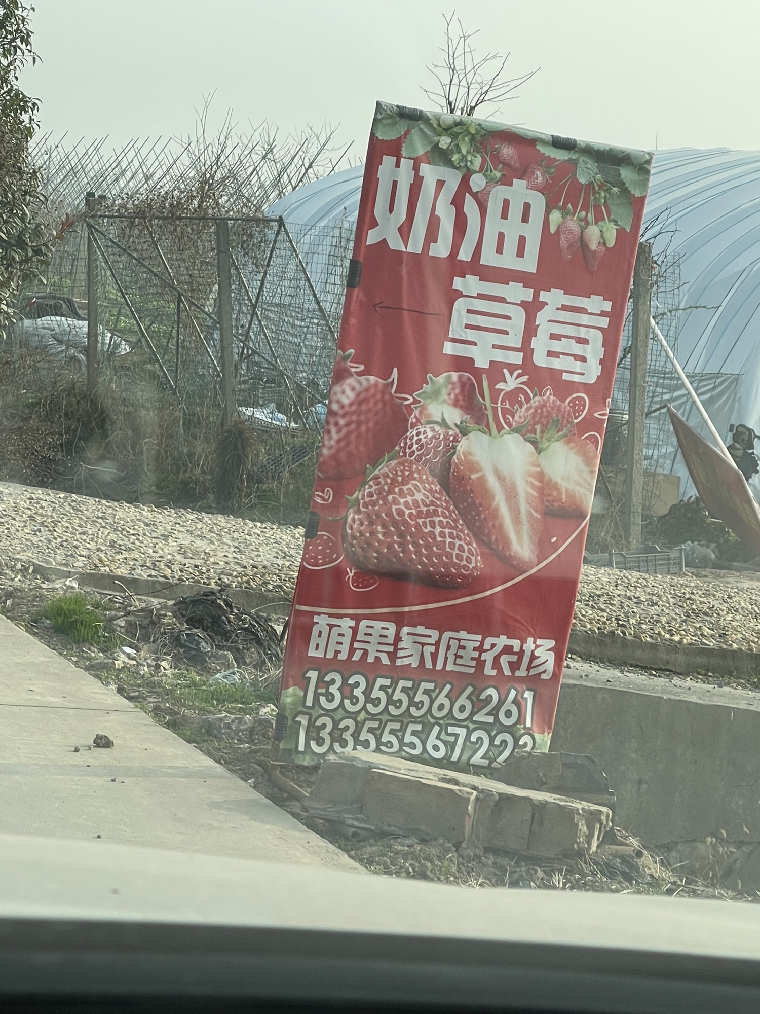美好甜园旅行图片 2