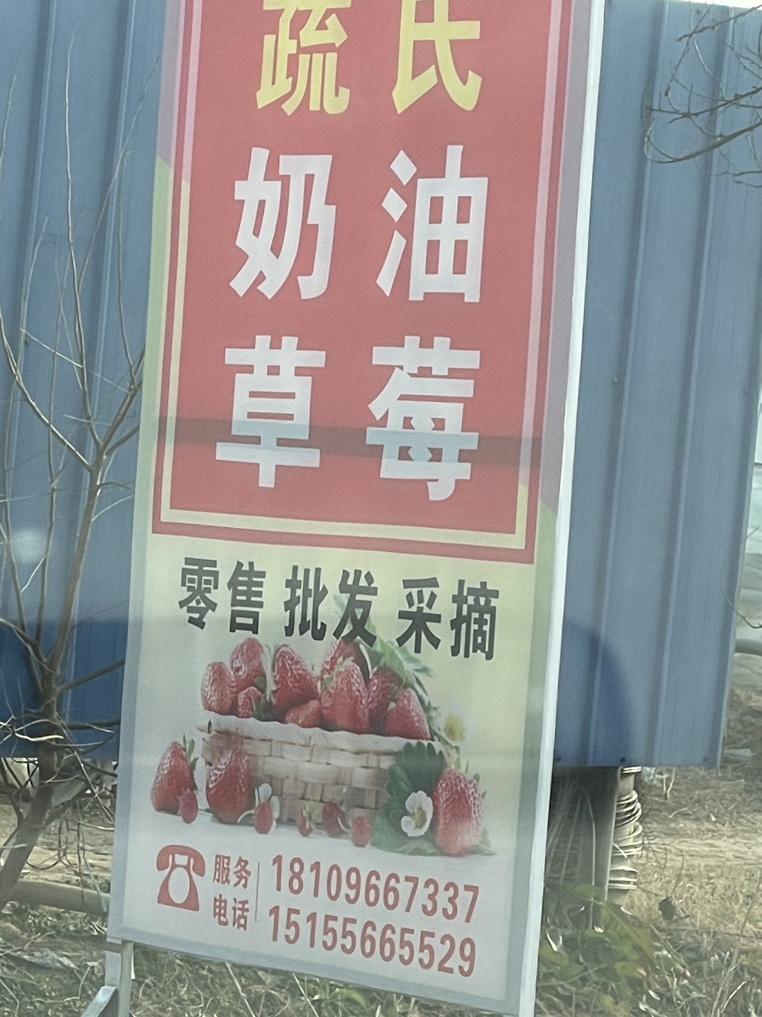 美好甜园旅行图片 1