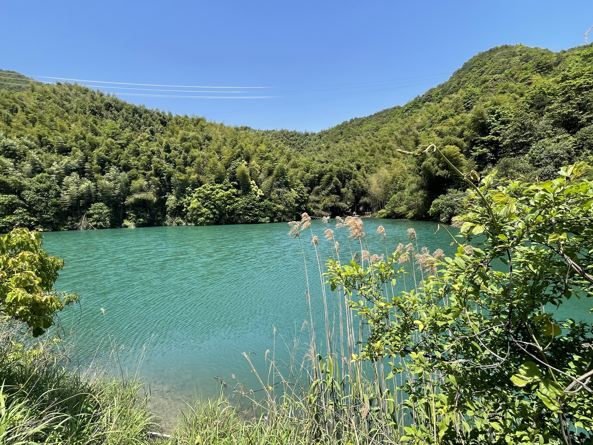 陶堰岭古道旅行图片 2