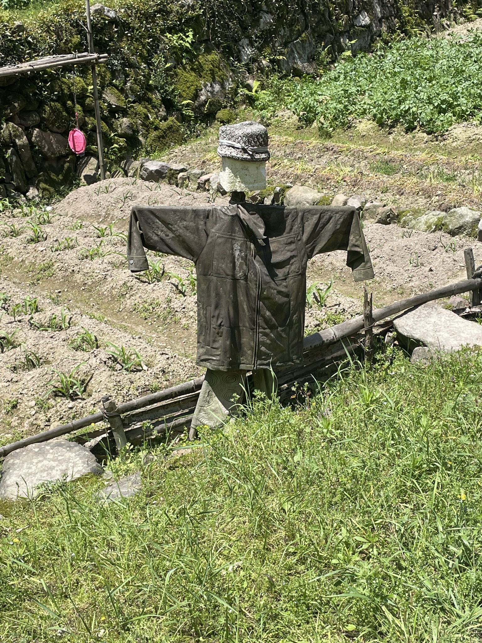 陶堰岭古道旅行图片 1