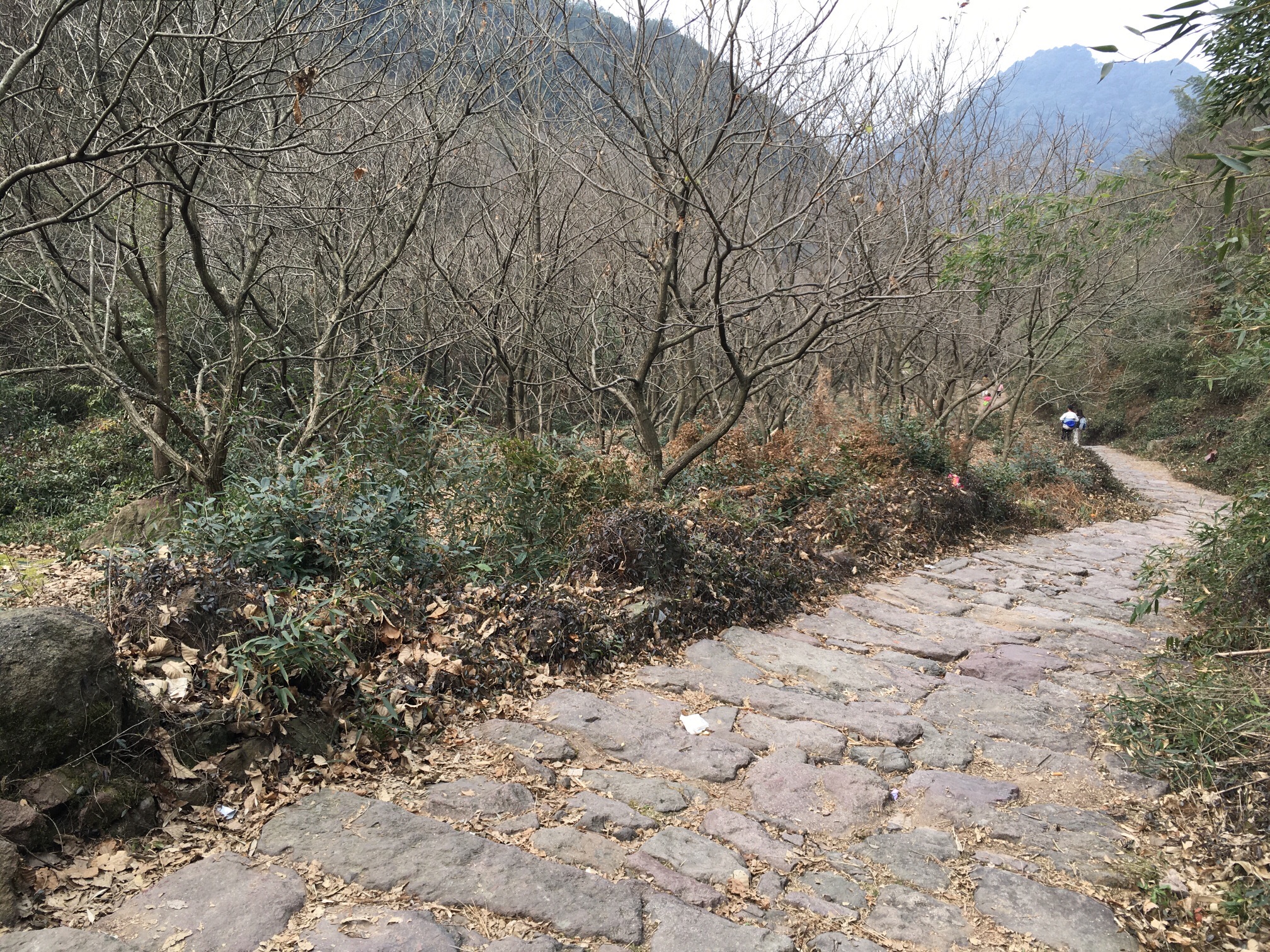 陶堰岭古道旅行图片 3