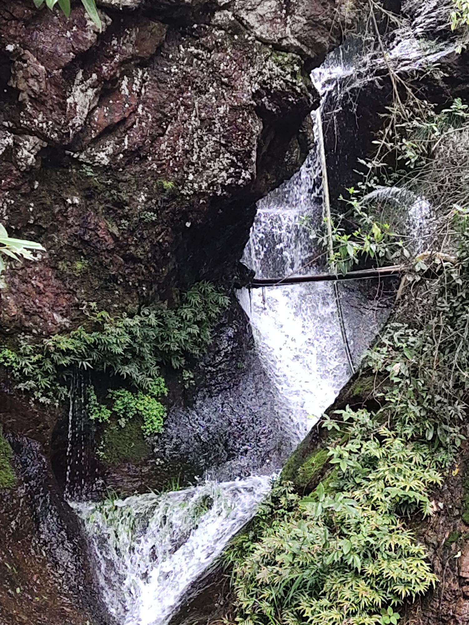 陶堰岭古道旅行图片 3
