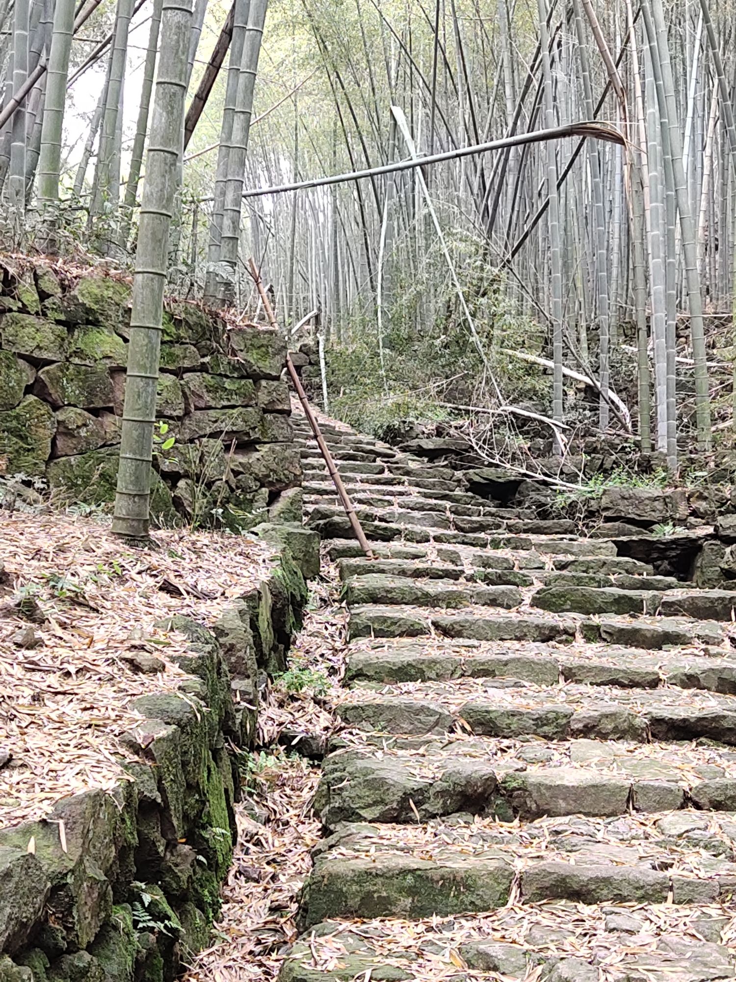 陶堰岭古道旅行图片 1