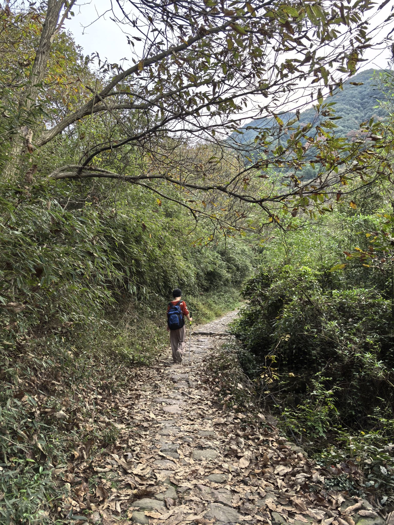 陶堰岭古道旅行图片 3