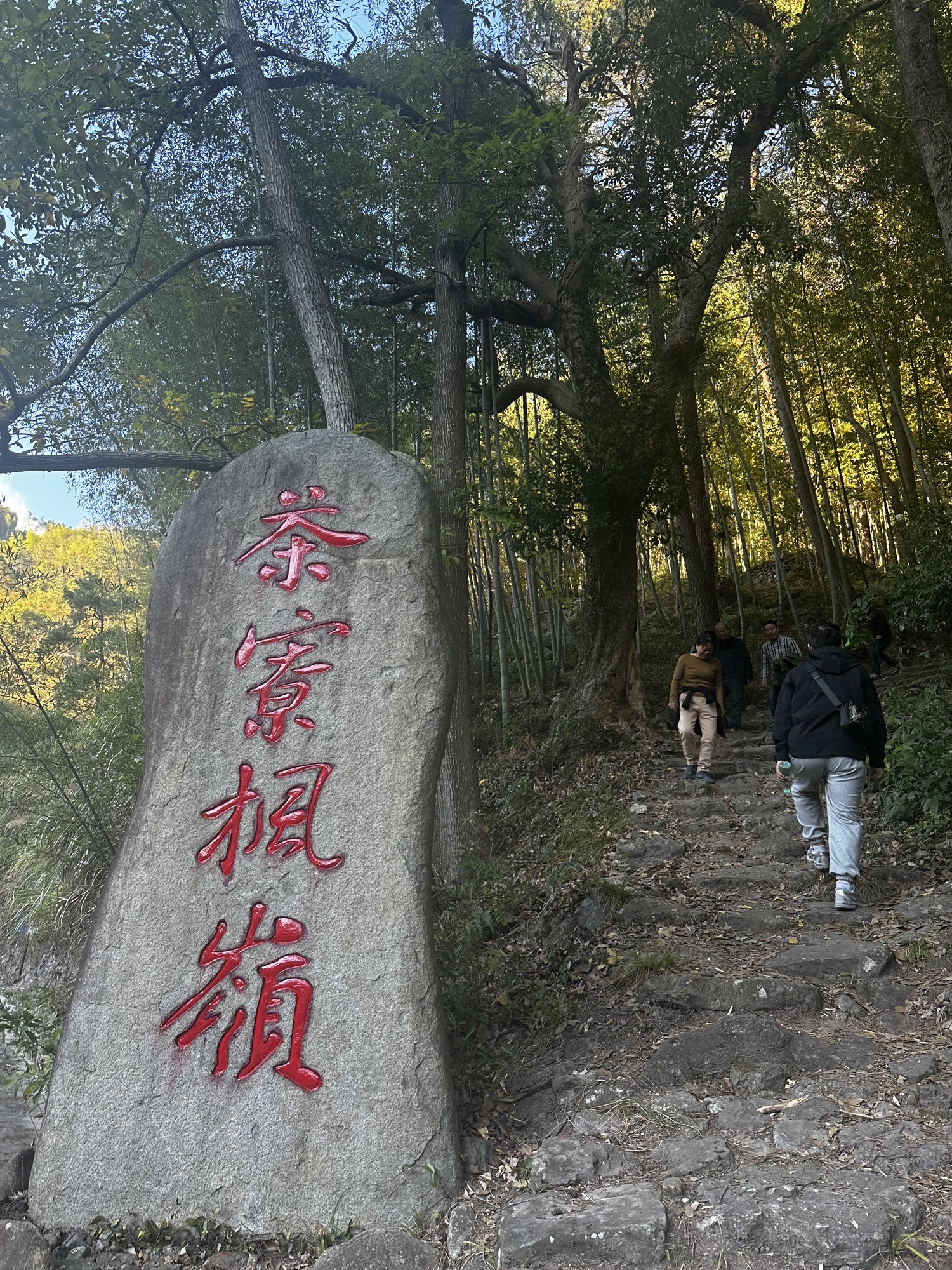 茶辽古道旅行图片 3