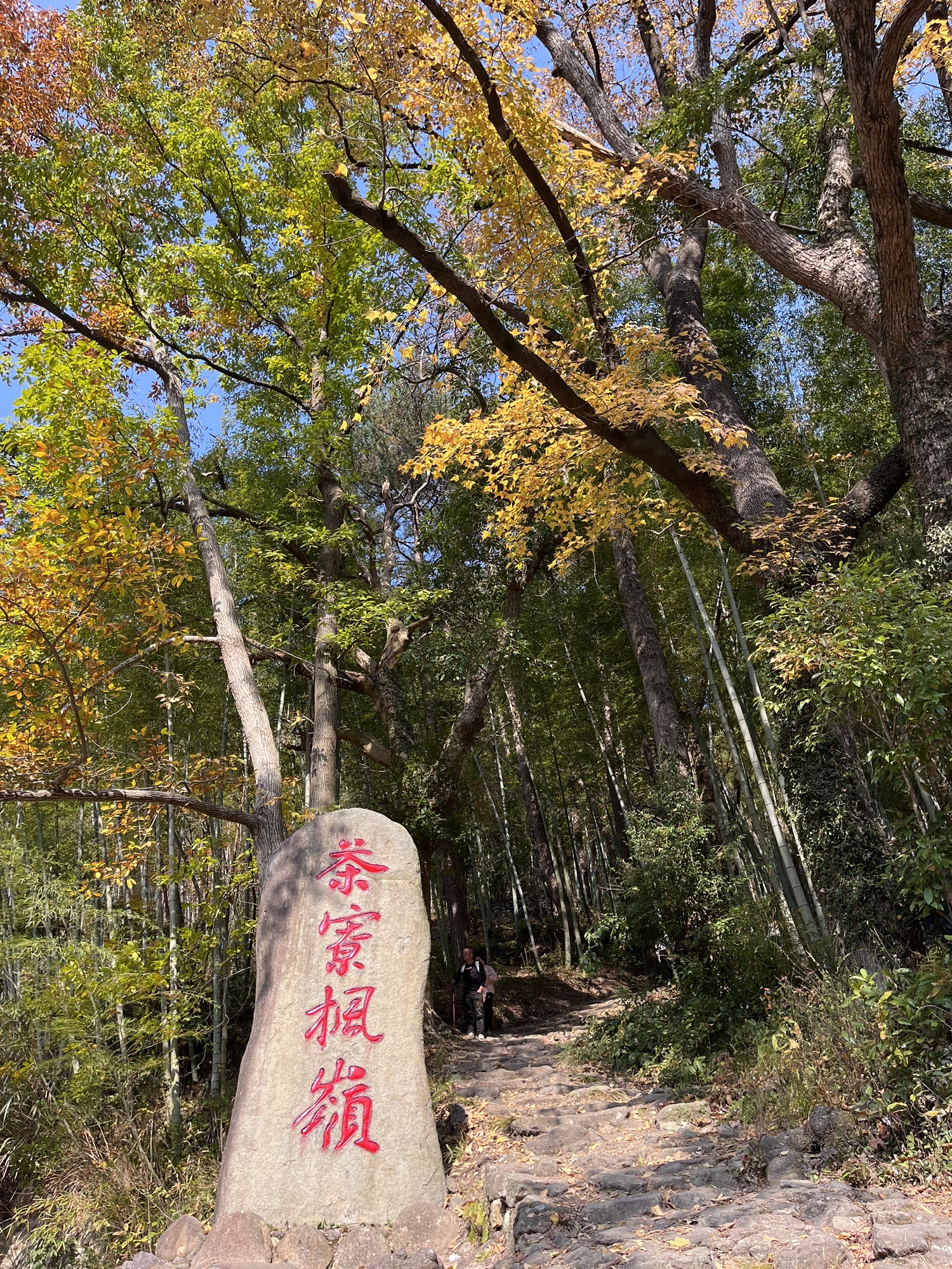 茶辽古道旅行图片 1