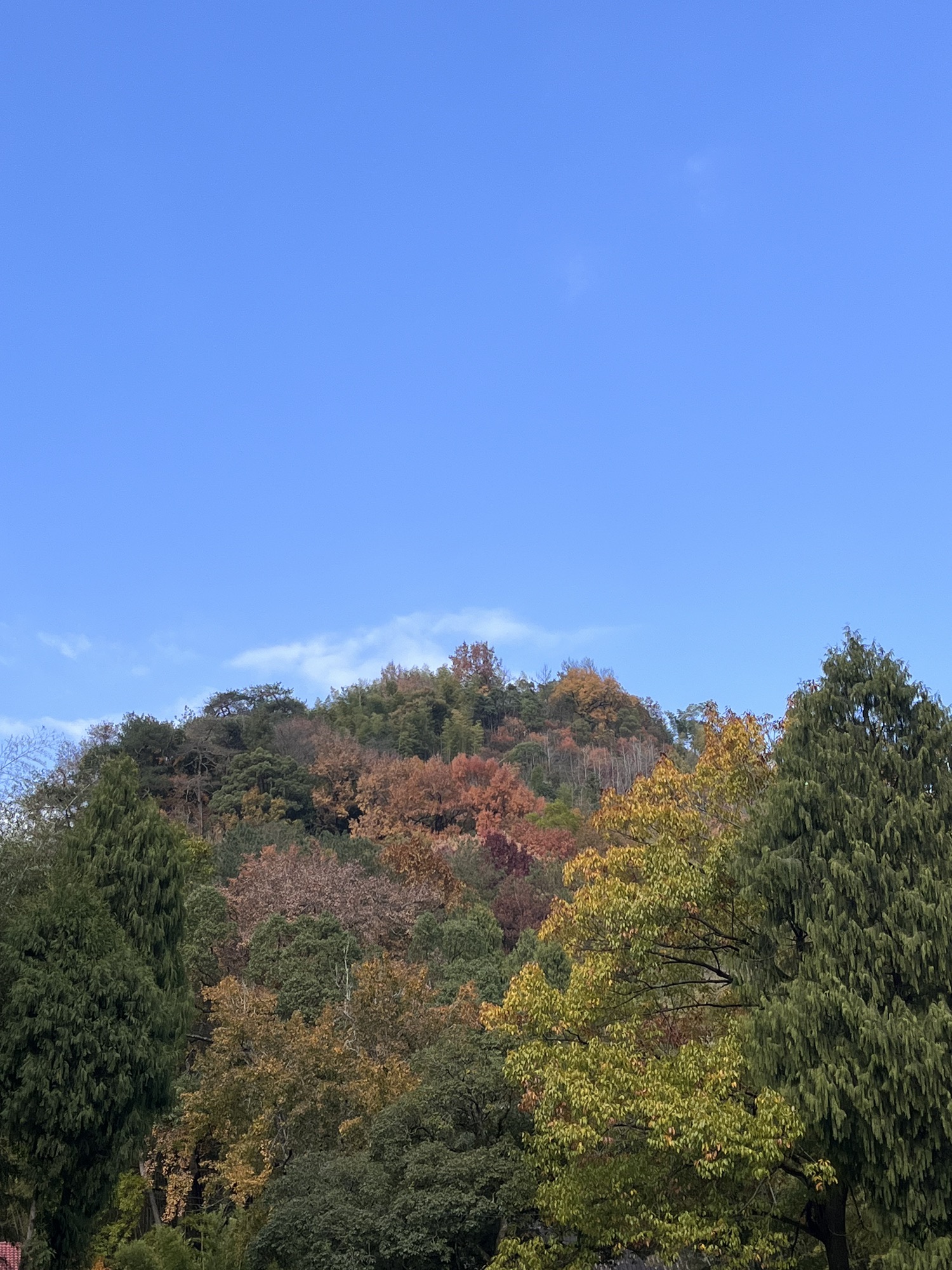 茶辽古道旅行图片 2