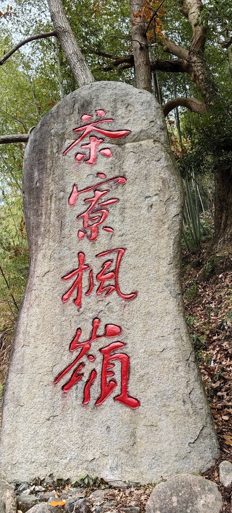 茶辽古道旅行图片 2