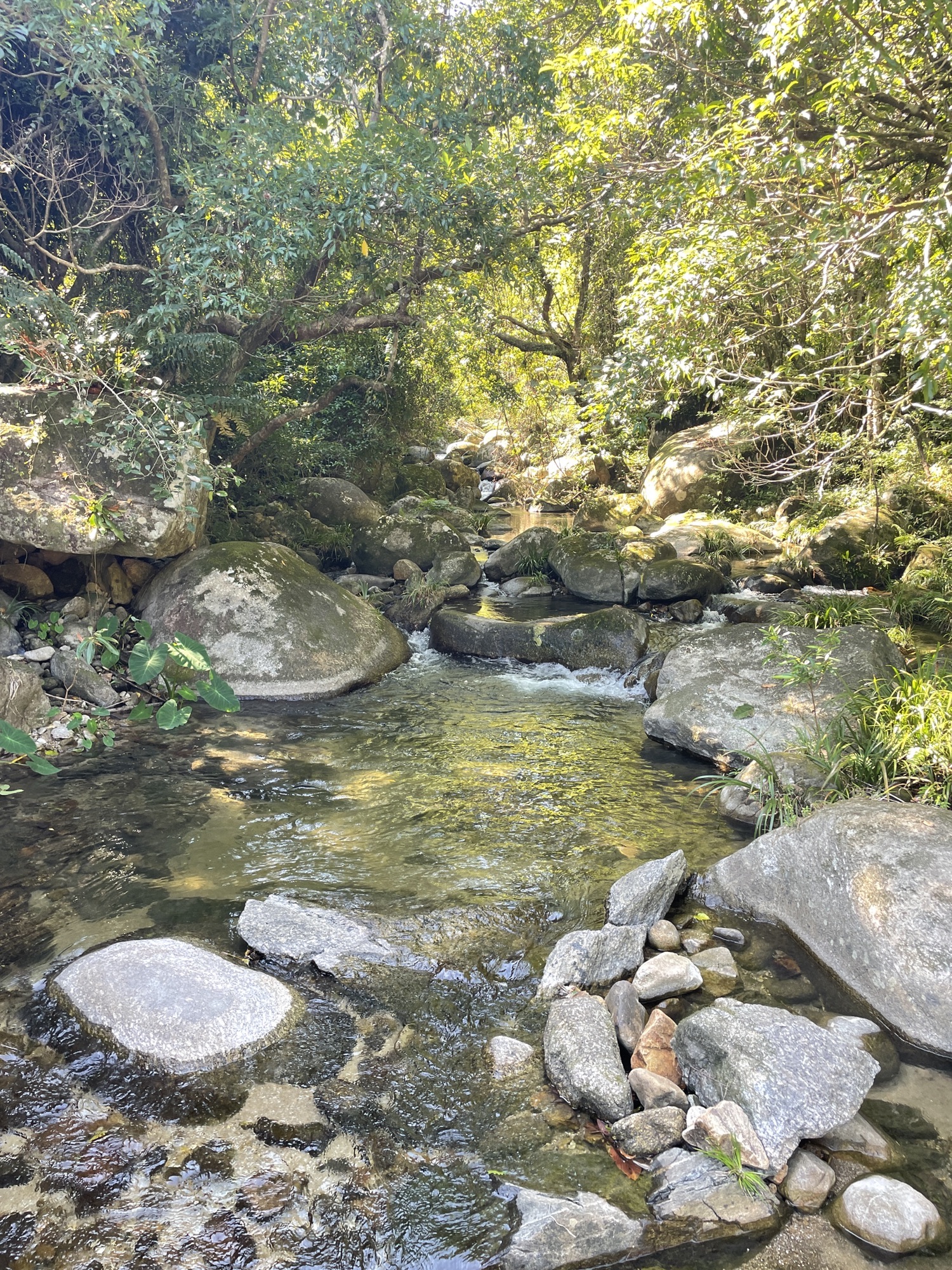 七星坑自然保护区旅行图片 2