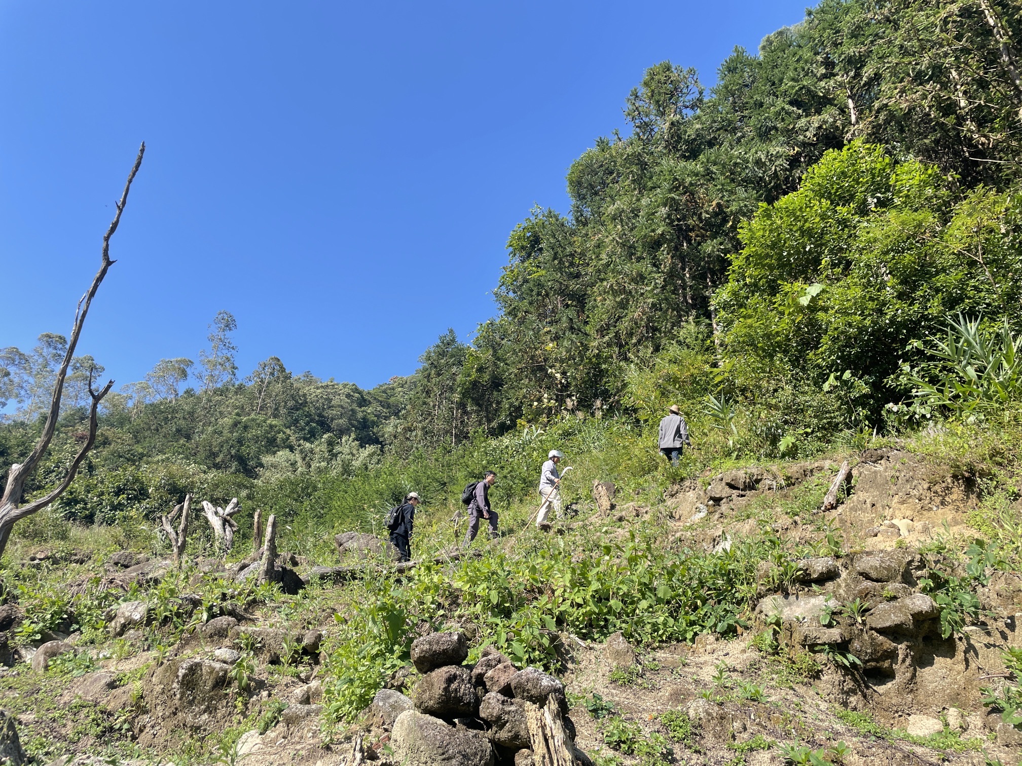 七星坑自然保护区旅行图片 3
