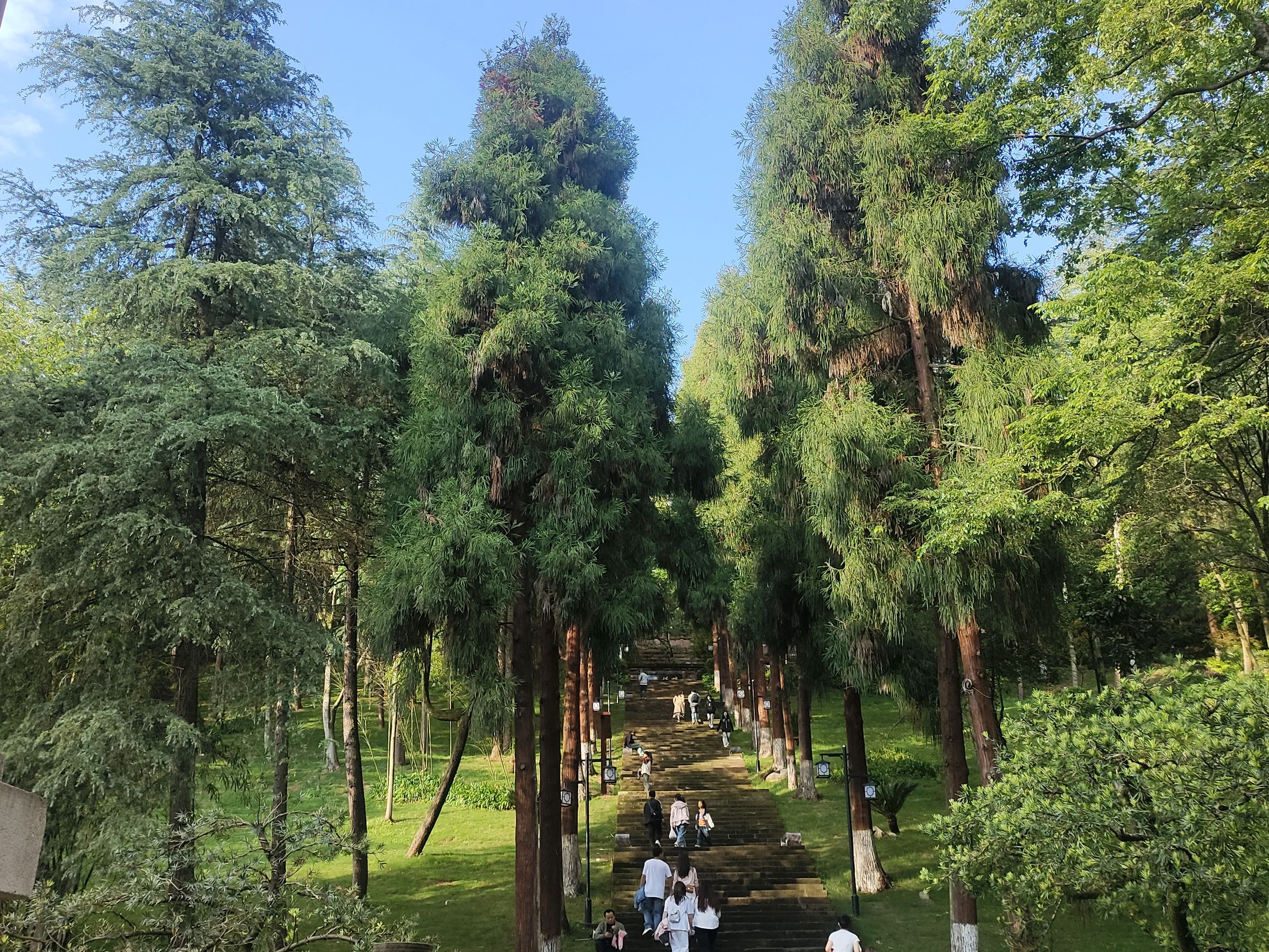 凤凰山国家森林公园旅行图片 2