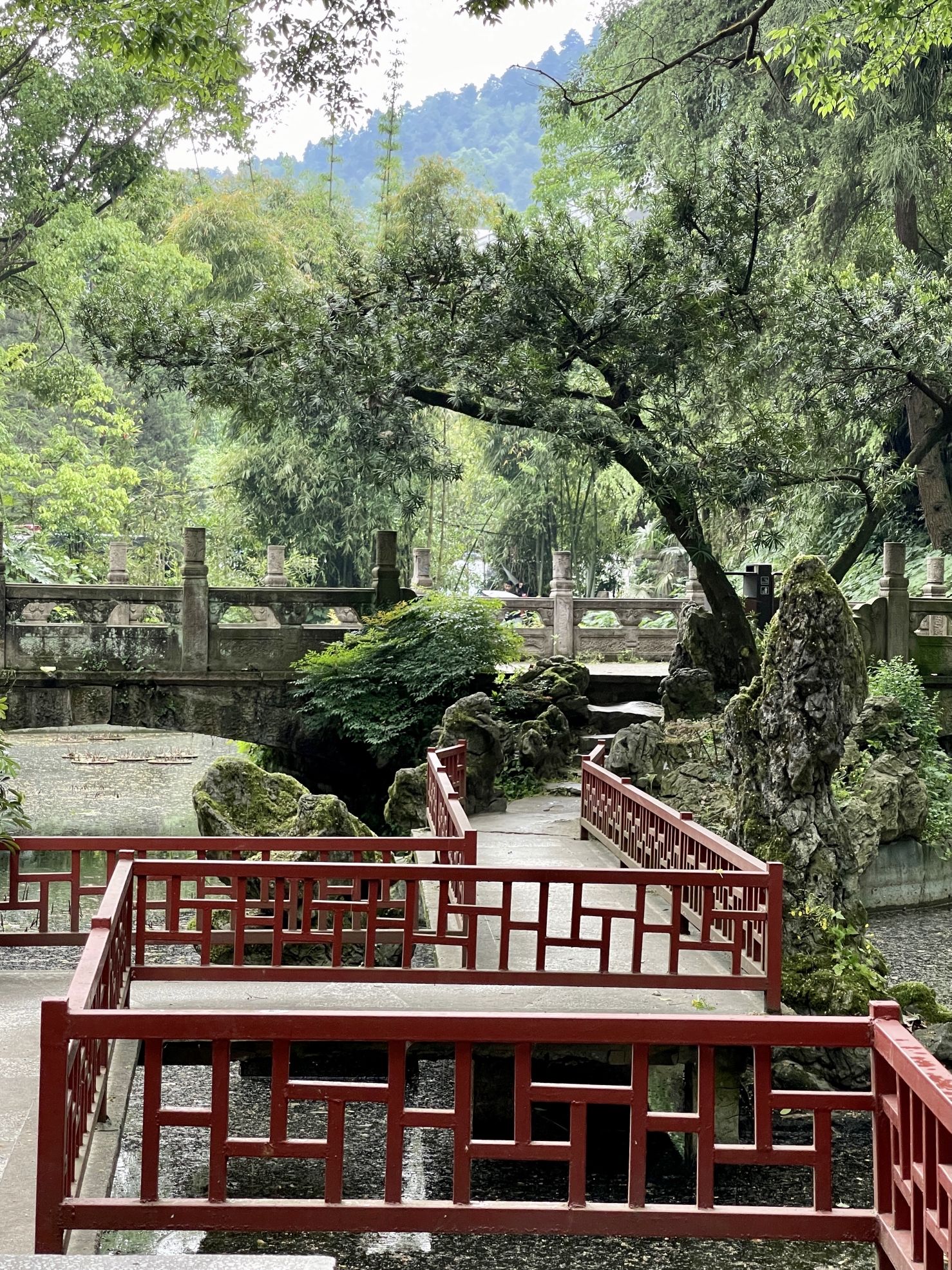 凤凰山国家森林公园旅行图片 3