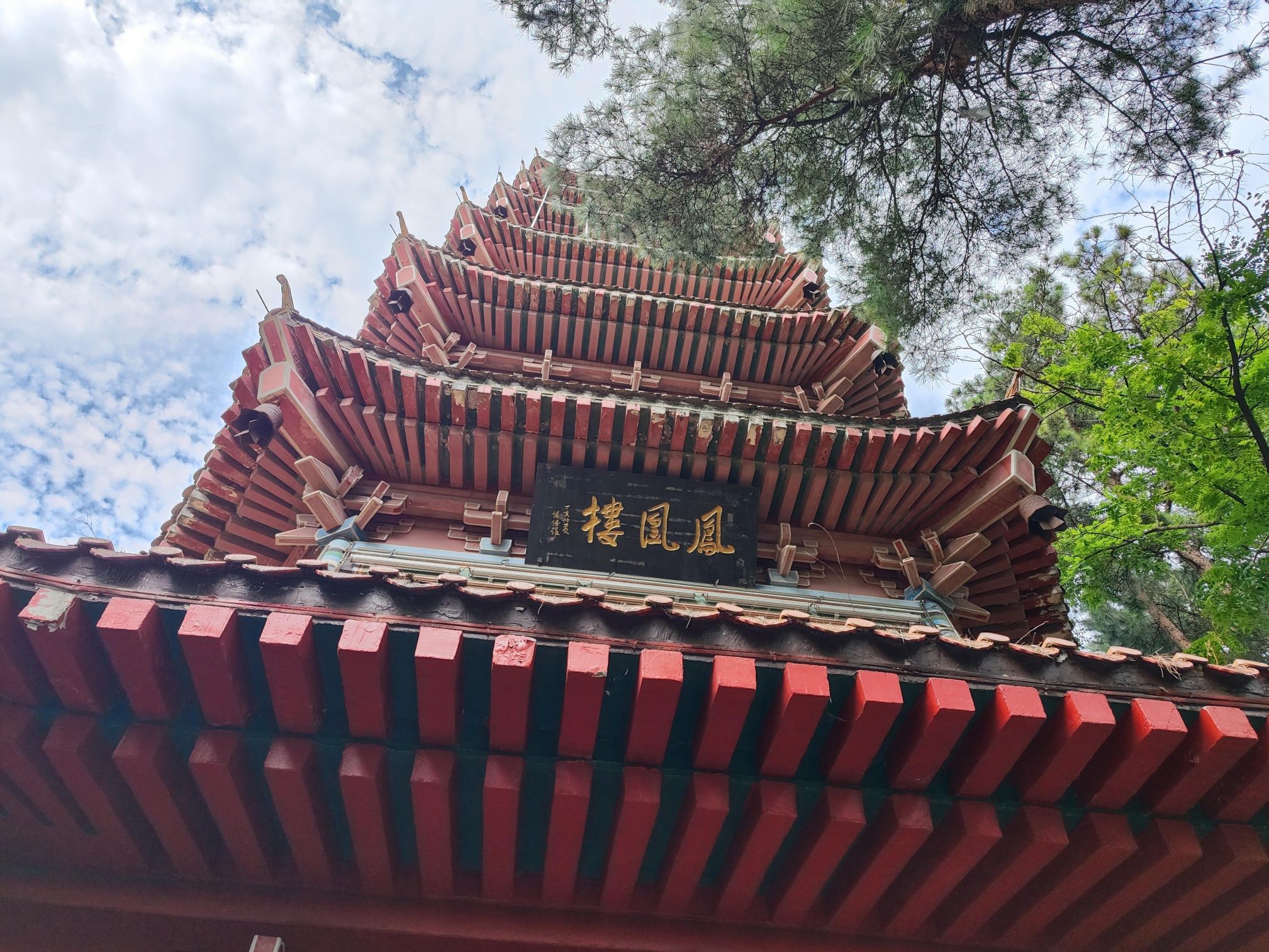 凤凰山国家森林公园旅行图片 3