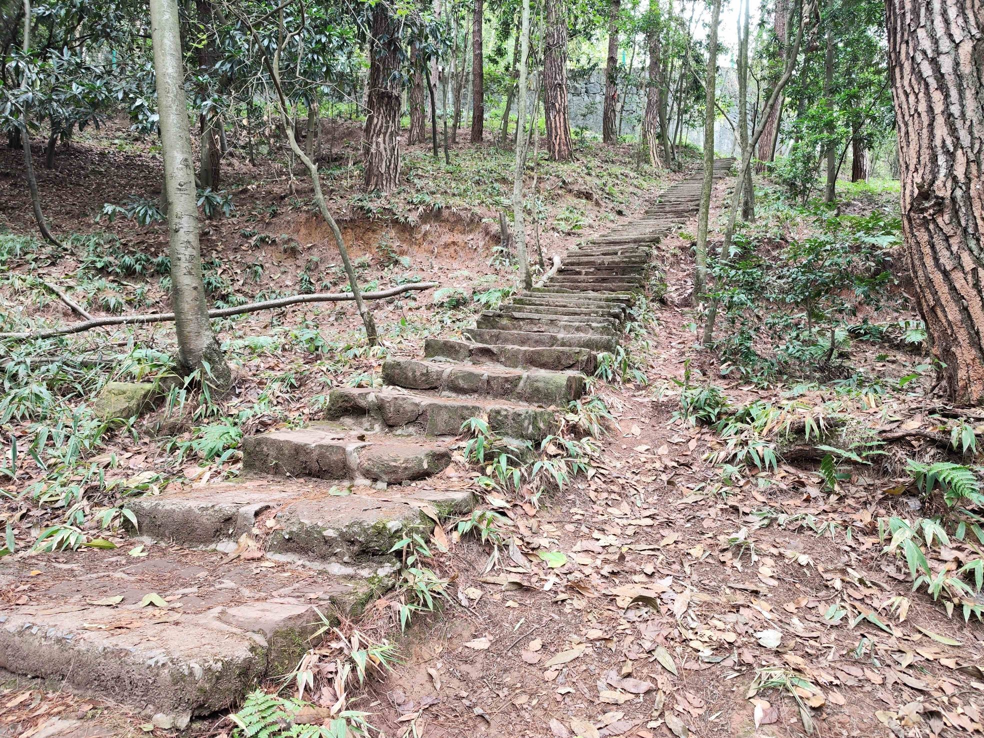 凤凰山国家森林公园旅行图片 2