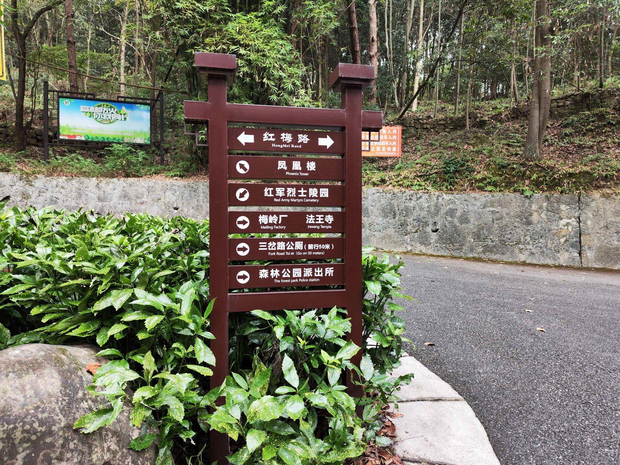 凤凰山国家森林公园旅行图片 1