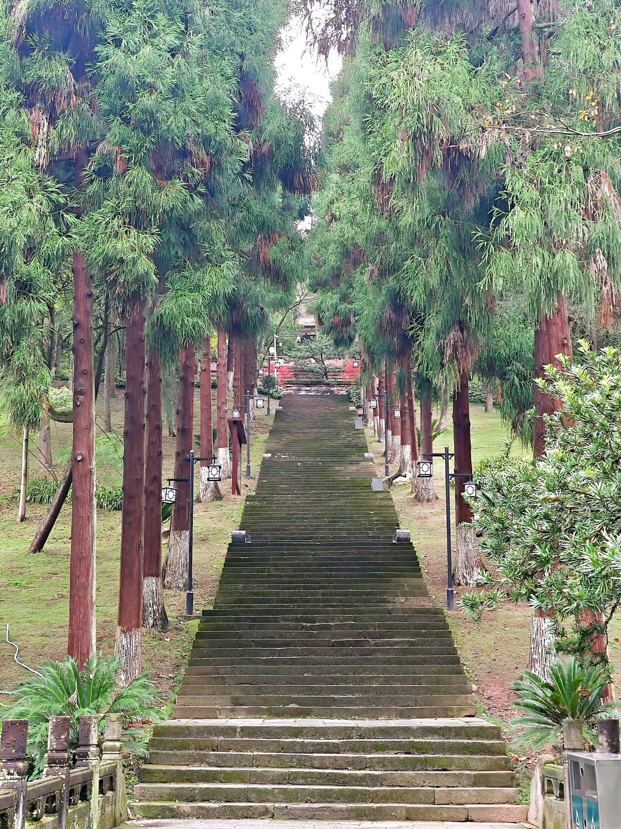 凤凰山国家森林公园旅行图片 2