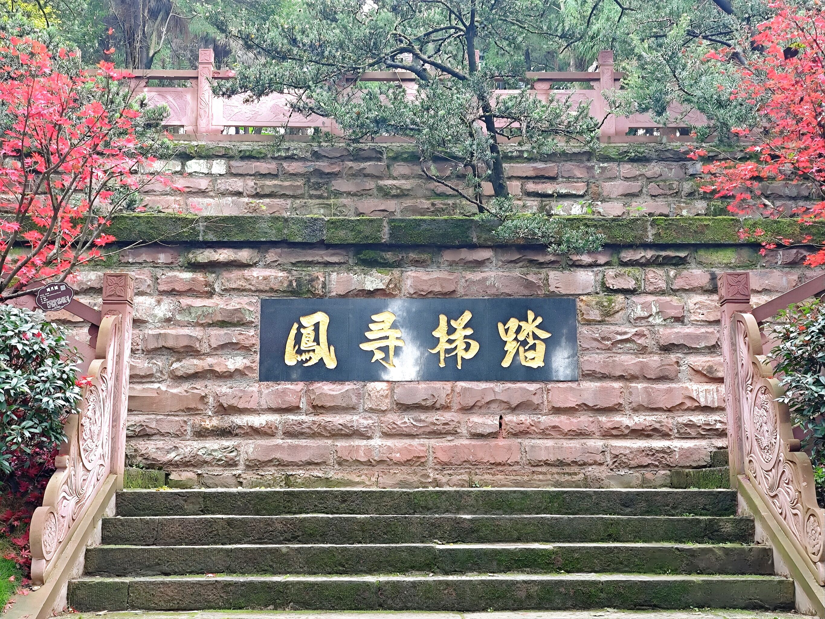凤凰山国家森林公园旅行图片 3