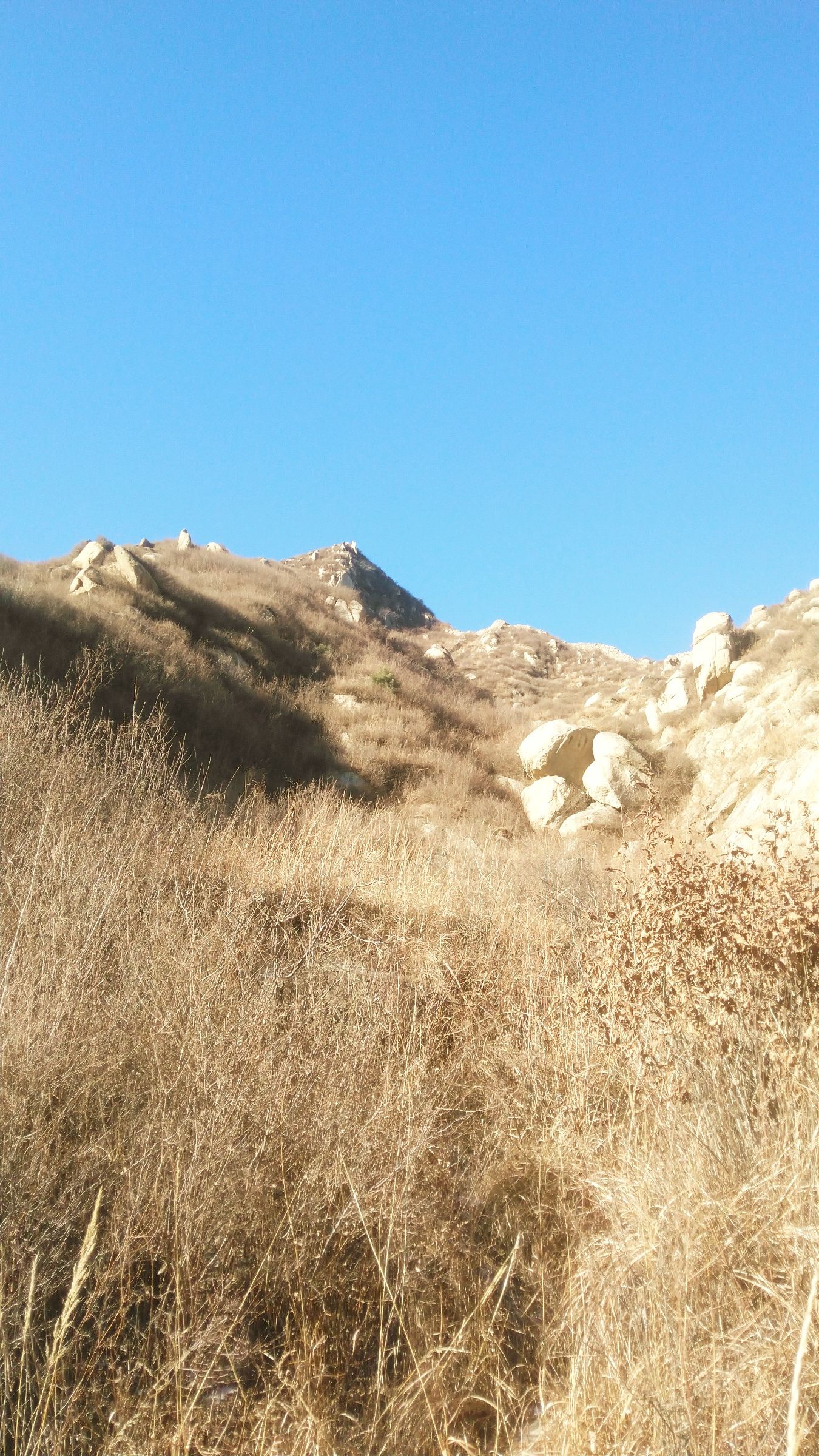 白石口长城旅行图片 2